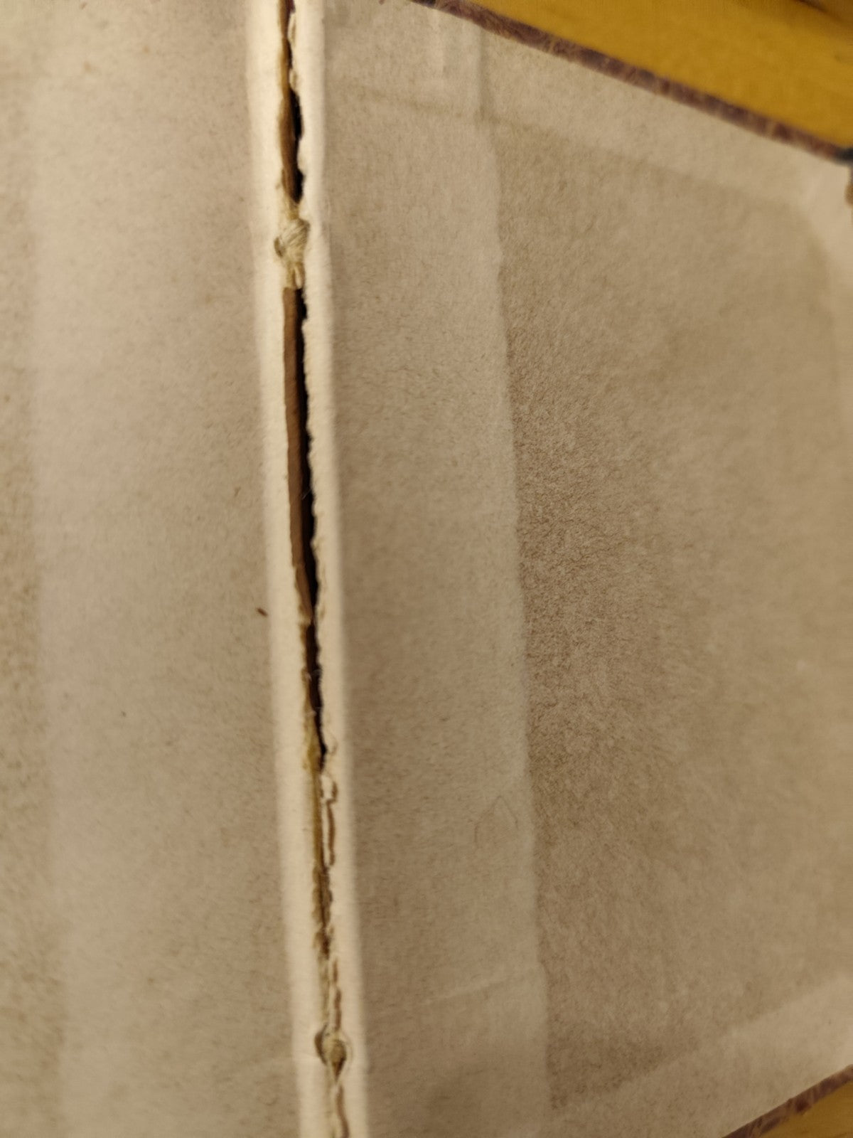 Leopardi Poesie, Francesco Tornese Napoli, edizione riveduta, non datato (1880?)