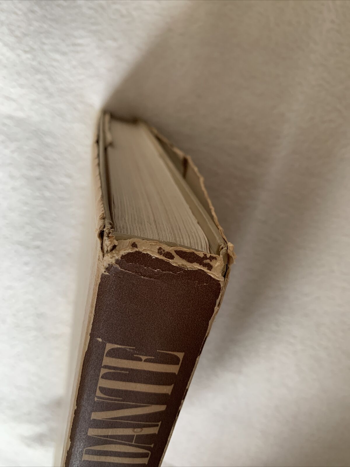 La divina commedia, illustrazioni di Sandro Botticelli. Edizioni Palatine 1946