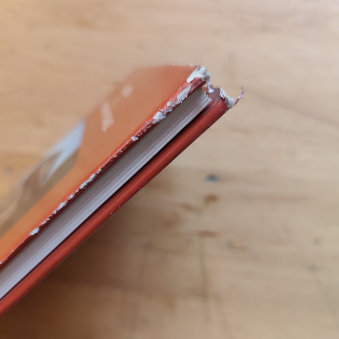 La chiesa di San Giorgio in Poggiale Bologna - cassa di Risparmio in Bologna