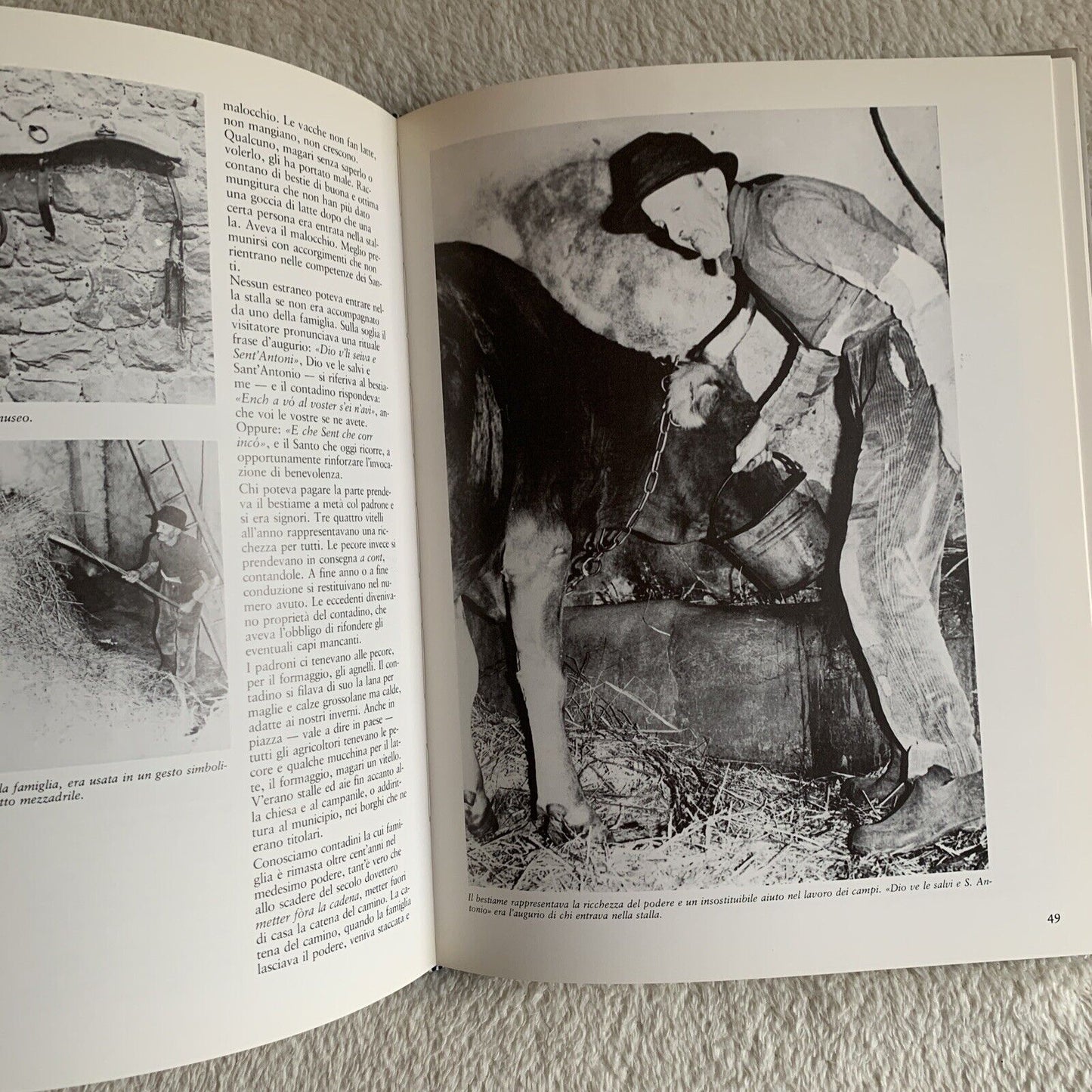 Il crepuscolo della civiltà contadina Adriano Simoncini Mauro Bacci. Grafis 1983