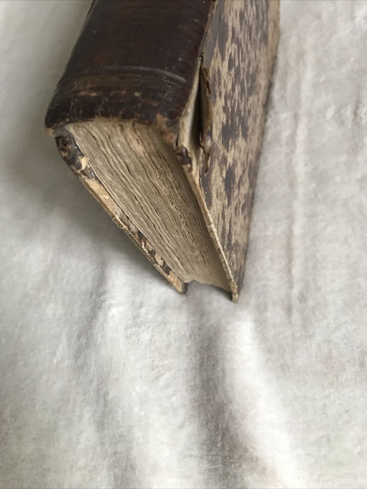 STORIA DELL'INSURREZIONE SICILIANA, Giovanni la Cecilia, Sanvito 1861 - Vol 2