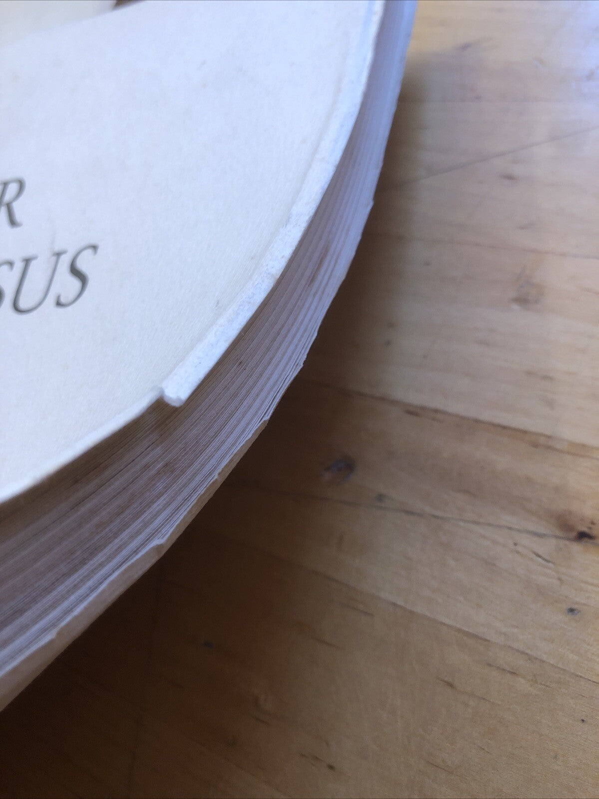 Liber Paradisus con le riformagioni e gli statuti connessi, Luigi Parma 1956