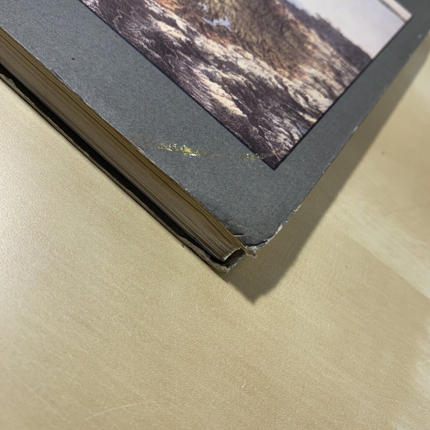 ESPLORAZIONI SULLA VIA EMILIA - Luigi Ghirri - Vedute nel Paesaggio. 1986 #