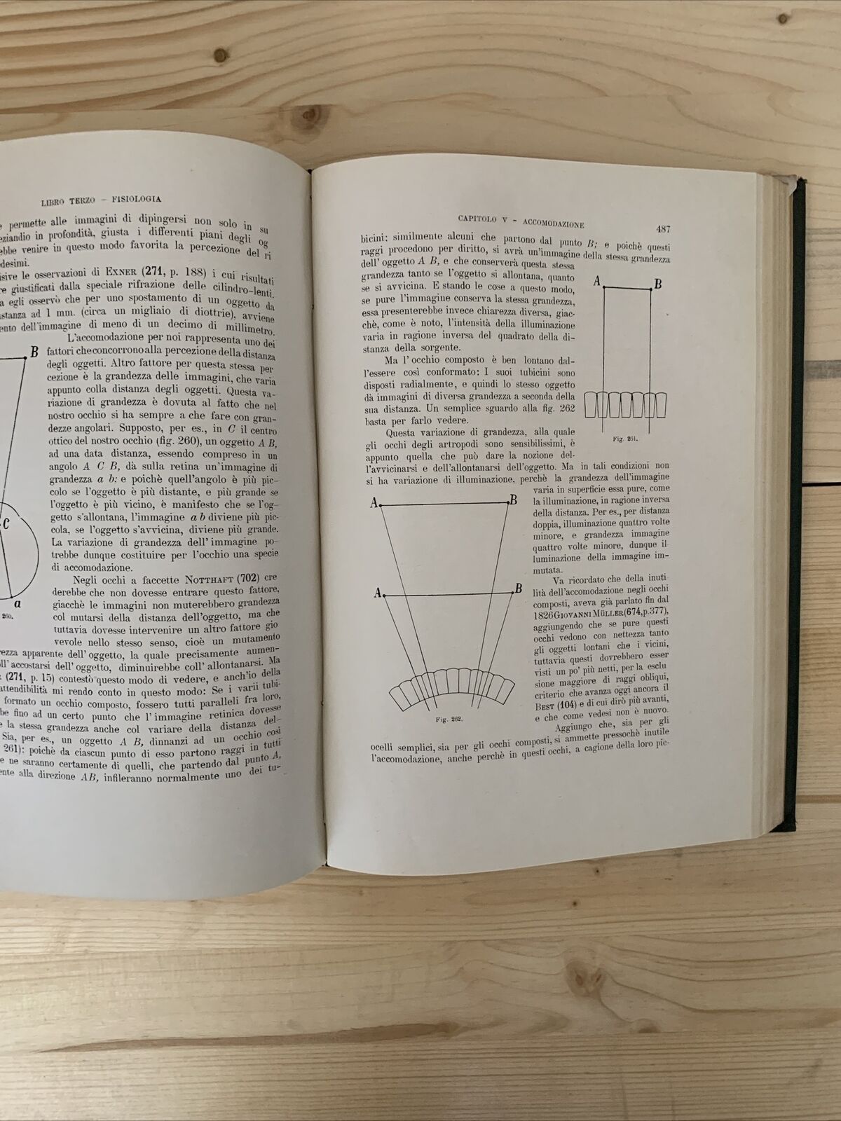 ANATOMIA E FISIOLOGIA DELL'OCCHIO NELLA SERIE ANIMALE - Giuseppe Ovio 1925 #
