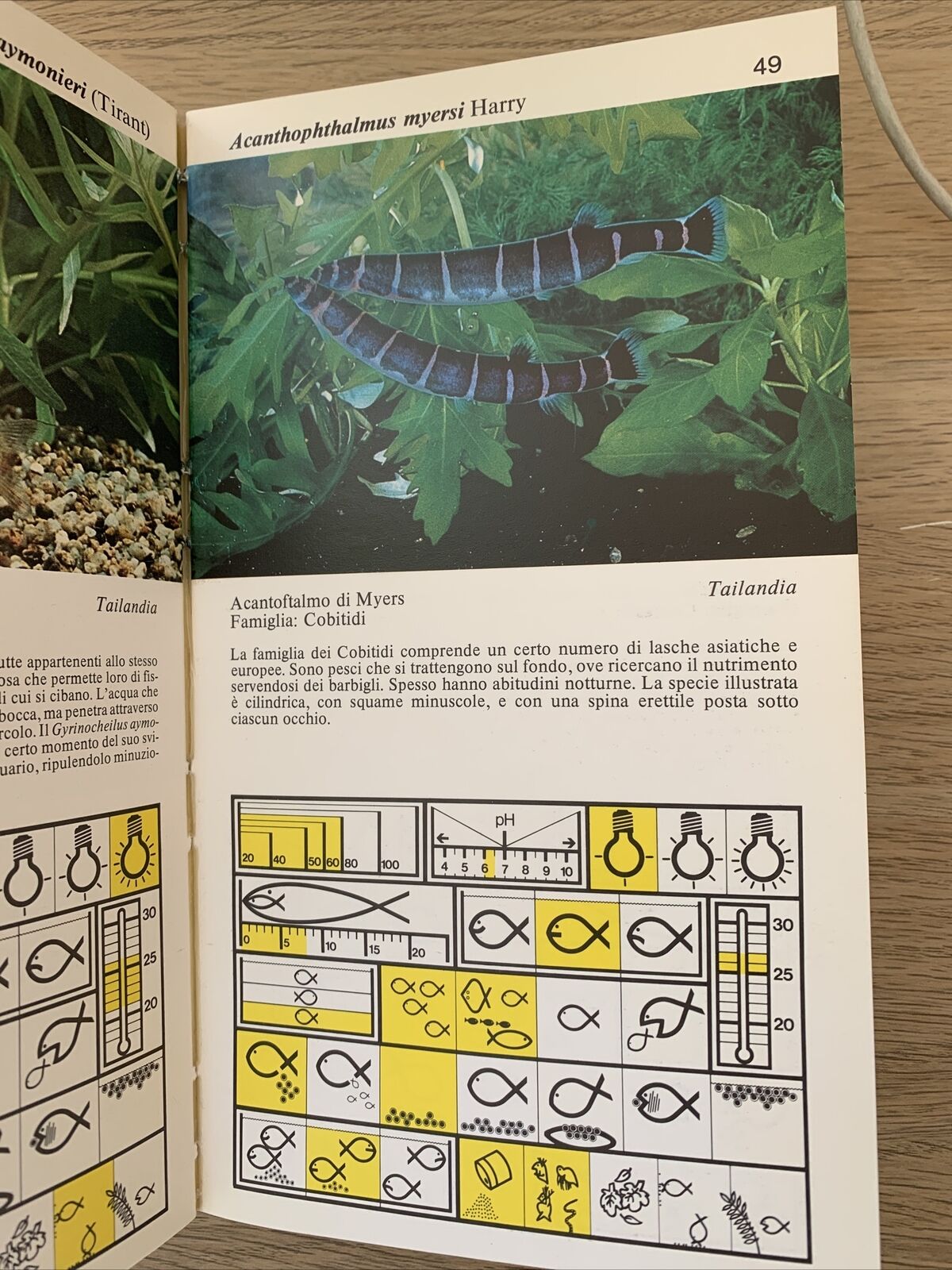 PESCI D'ACQUARIO - Jean Pierre Gosse, Verlucca editori #