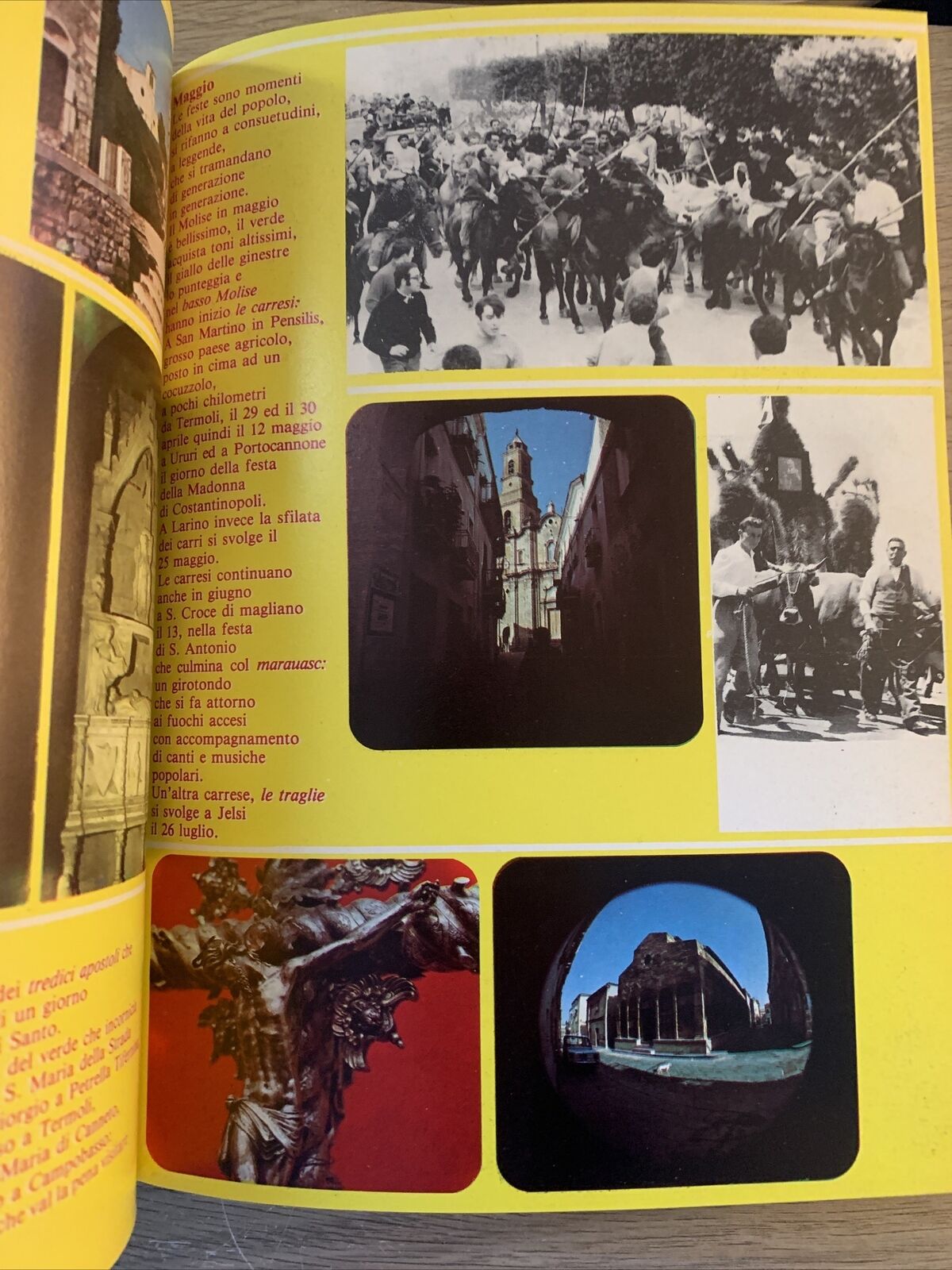 Almanacco del Molise 1978. Enzo nocera editore