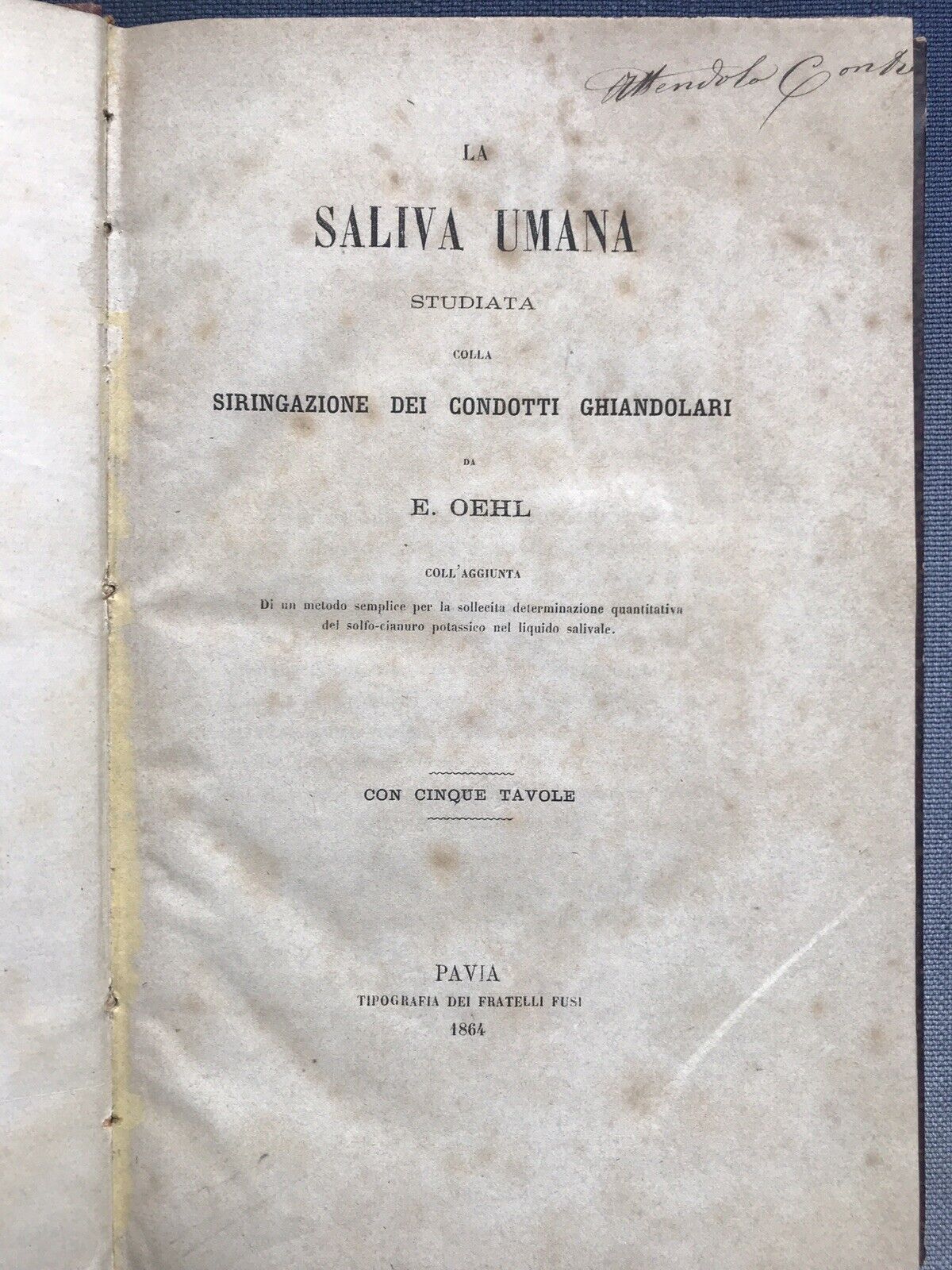 LA SALIVA UMANA, Eusebio Ohel 1864. **MEDICINA - MOLTO RARO INTROVABILE**
