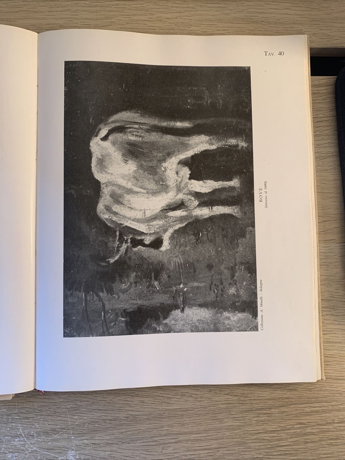 LUIGI BERTELLI - NINO BERTOCCHI. EDIZIONI RUPE 1946