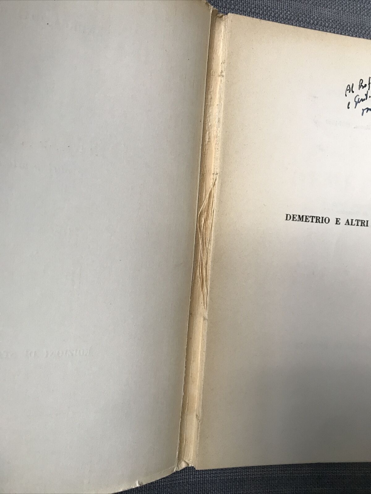 DEMETRIO e altri pensieri, Andrea Rivier, edizioni di stagione