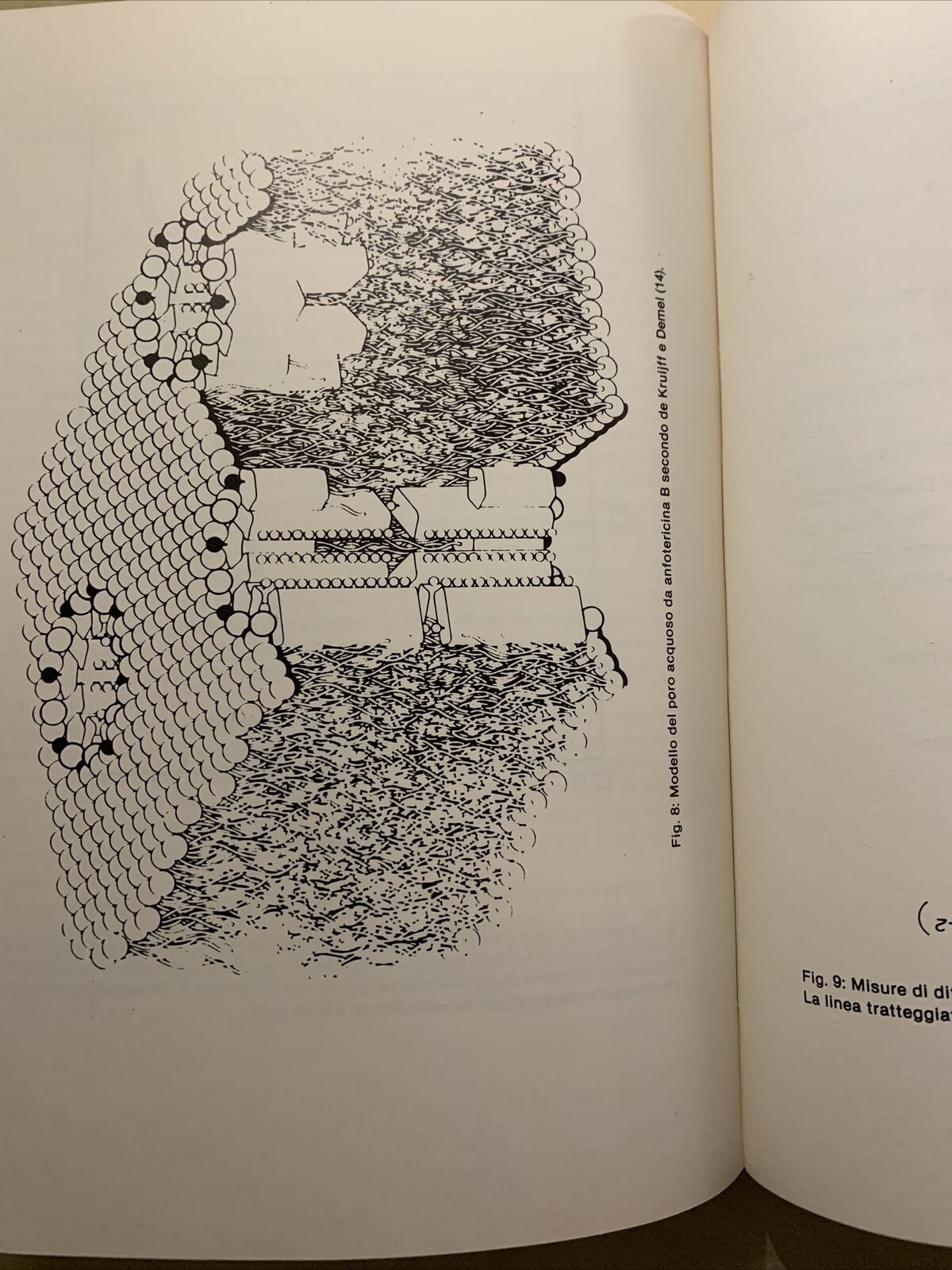 Omaggio a Paride Stefanini - Istituto Universitario di Medicina e Chirurgia 1982