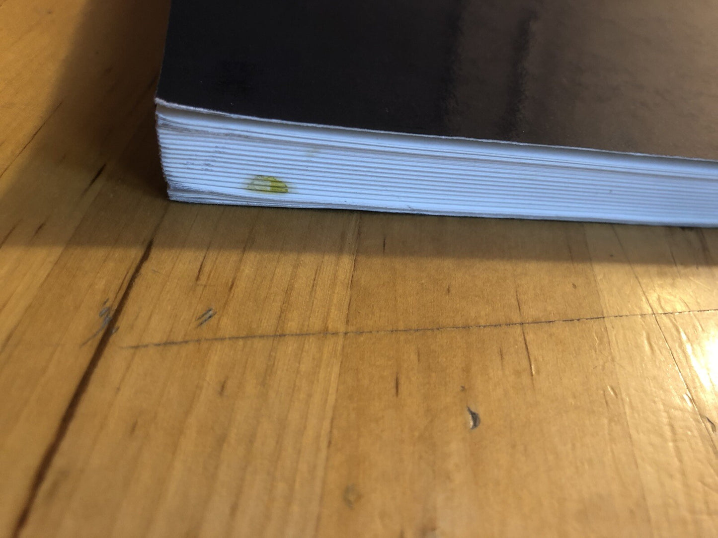 La collina di Bologna un patrimonio naturale per tutta la città e i suoi abitant