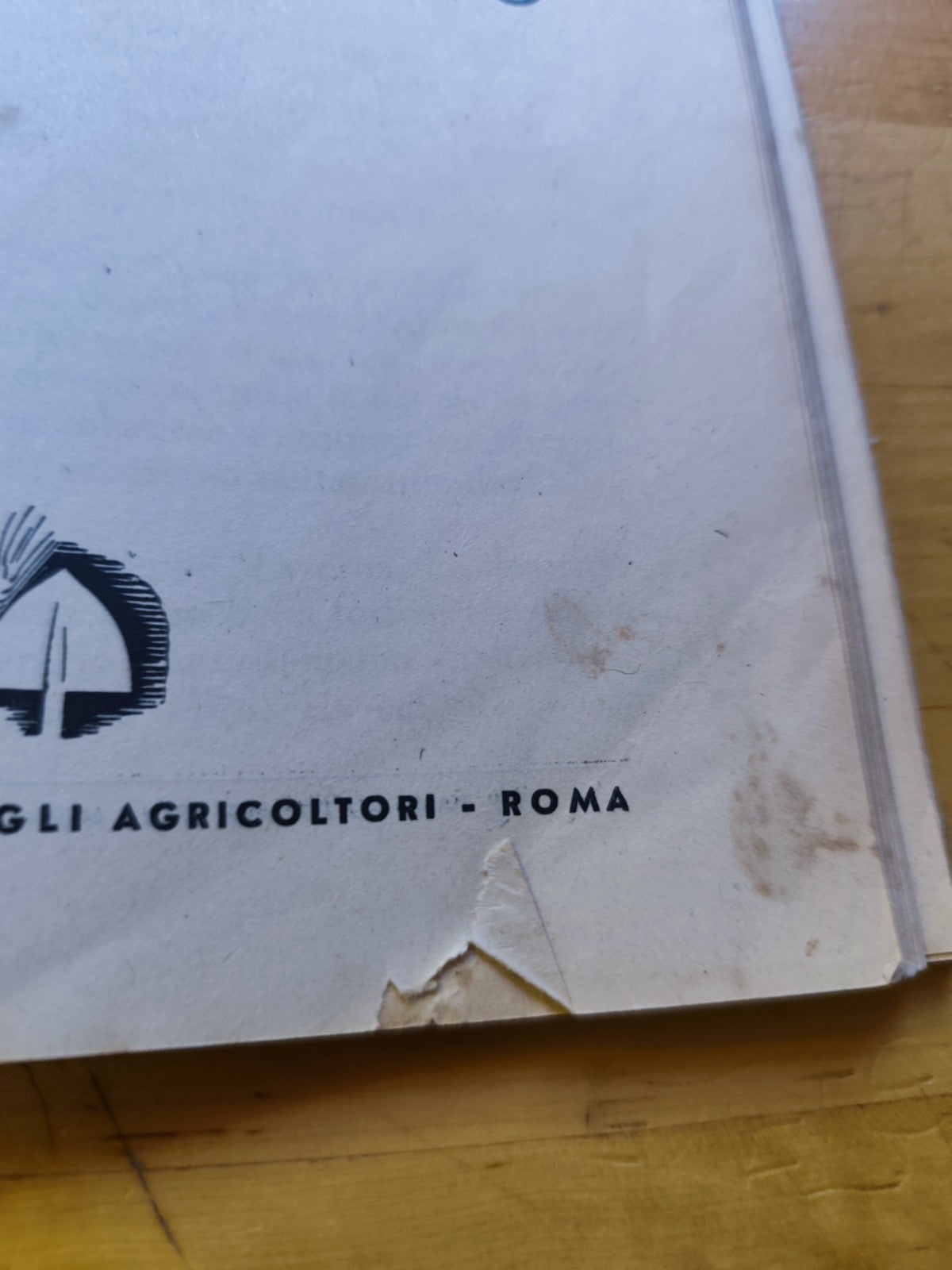 L'allevamento del tacchino, F. Frau - Sanna. agricoltori editoriale 1947