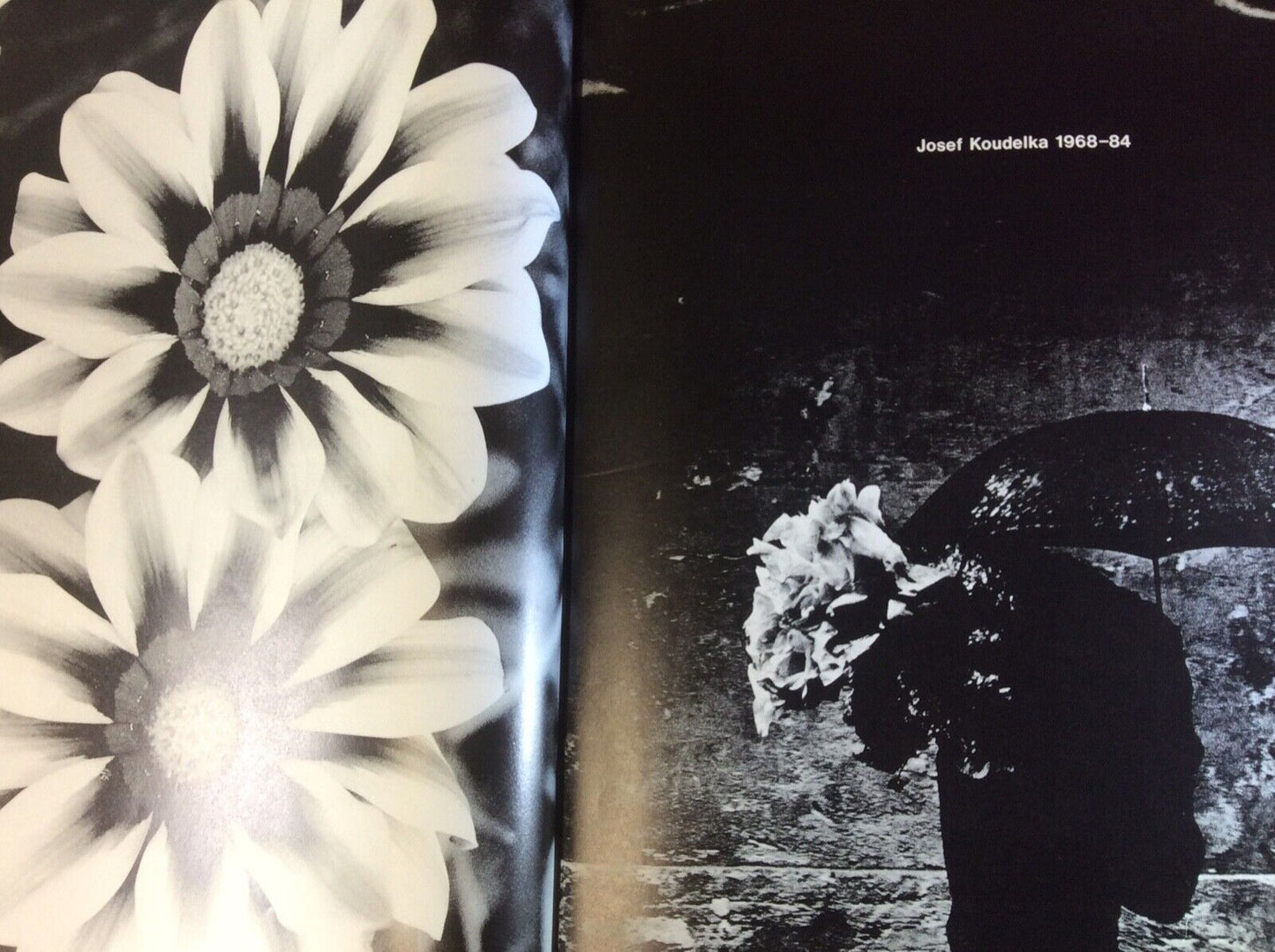 SIXT SENSE, COMME DES GARCONS, SIX MAGAZINE NUMBER 4 1989