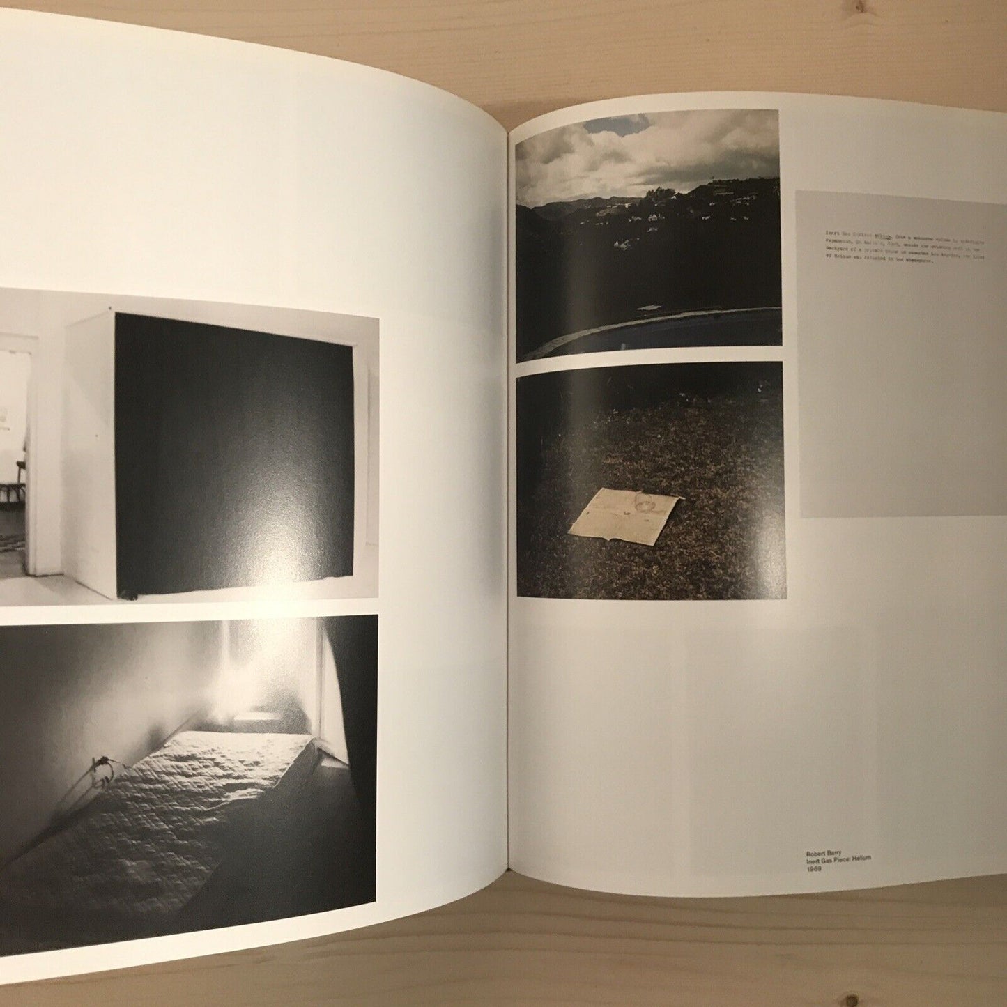 Blasted Allegories : Works from the Ringier Collection/ Werke Aus Der Sammlun