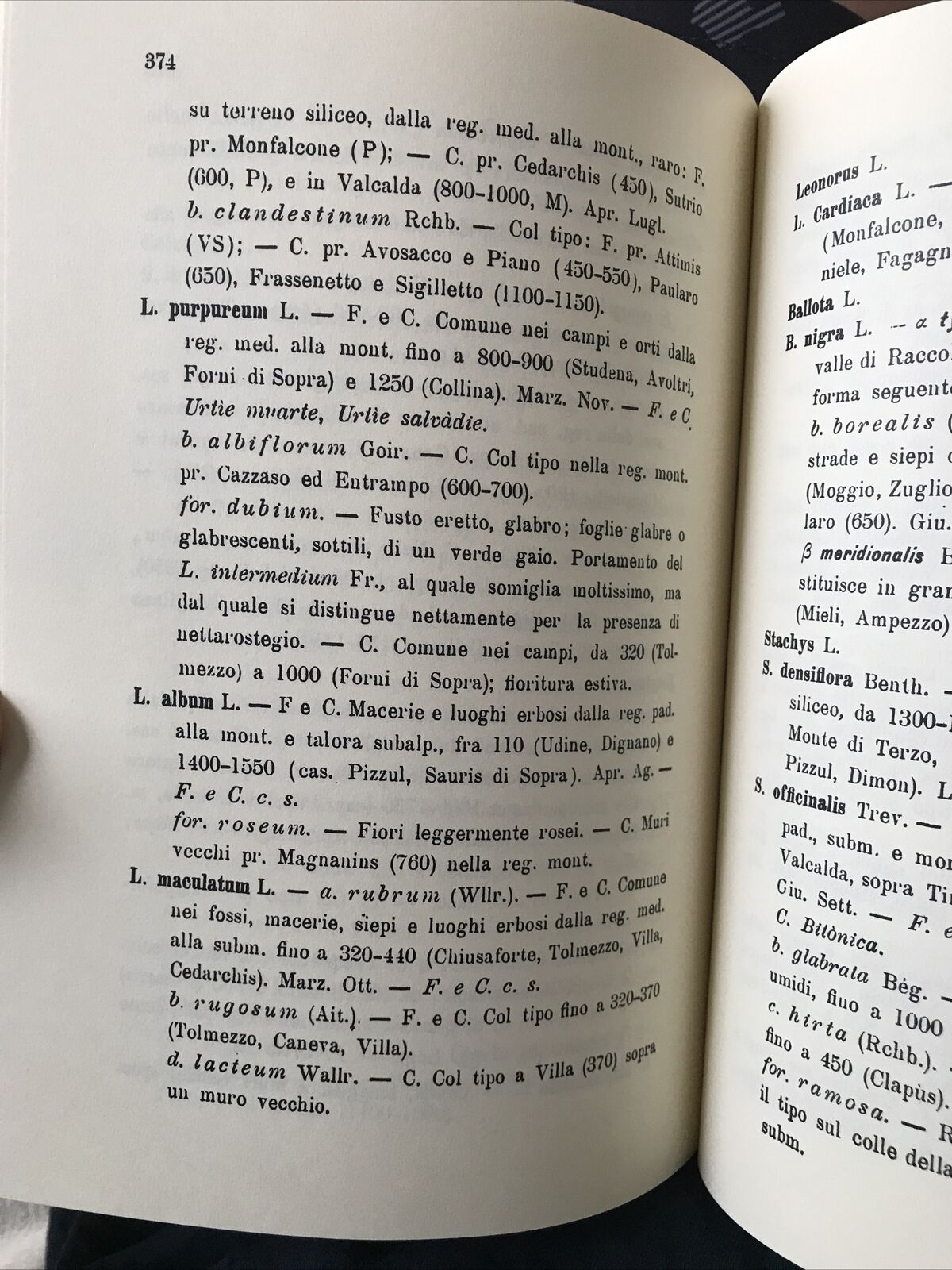 La flora friulana Luigi Michele Gortani Arnaldo Forni editore CARNIA FRIULI
