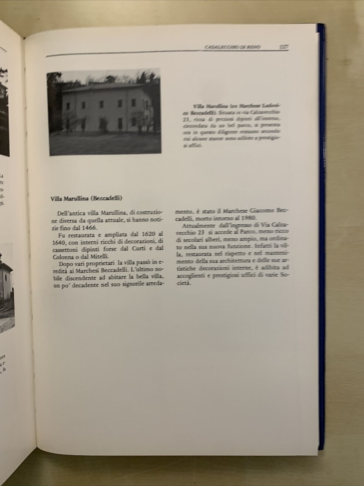 CASALECCHIO DI RENO, Percorsi e immagini della sua civiltà, Dalmonte Polvani #