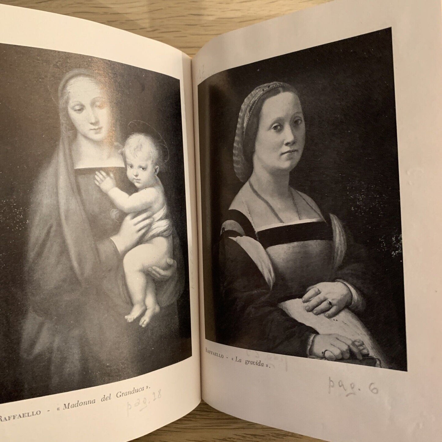 LA GALLERIA PITTI - Francini Ciaranfi - Arnaud edizioni 1956 #