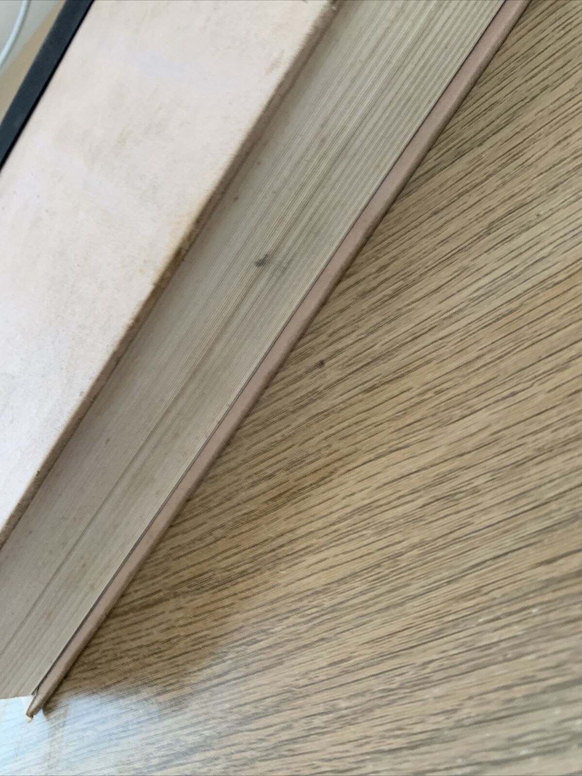 Desperados - Elaine Shannon. Viking 1988