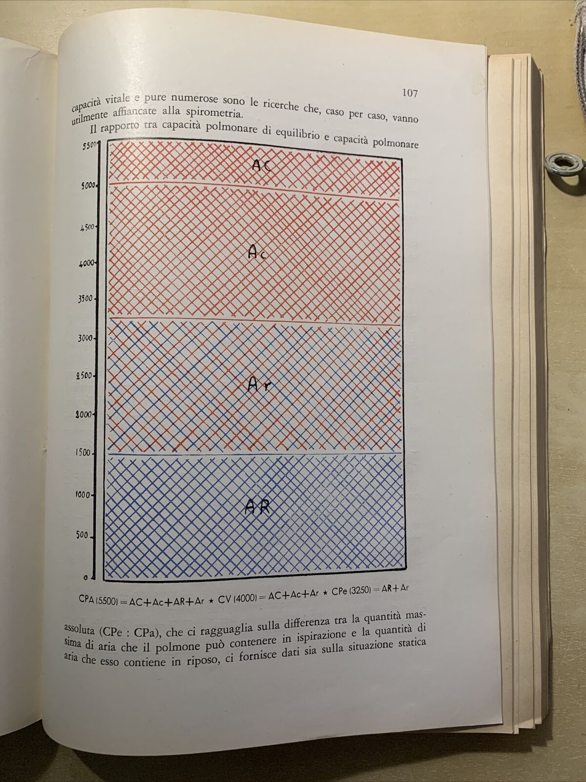 SEMEIOLOGIA FUNZIONALE DELLA TUBERCOLOSI POLMONARE - M. ANZALONE. Abruzzini ed #