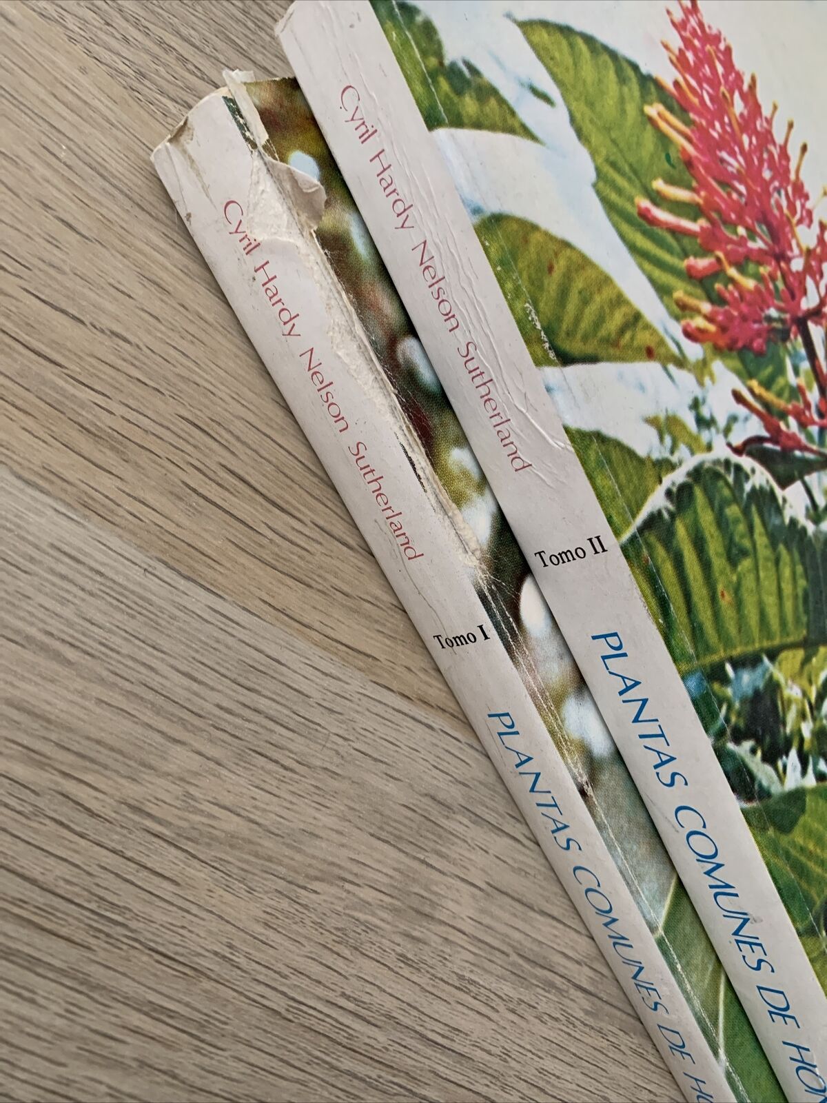 Plantas Comunes de Honduras. Cyril Hardy Nelson. Common Plants of Honduras 1986