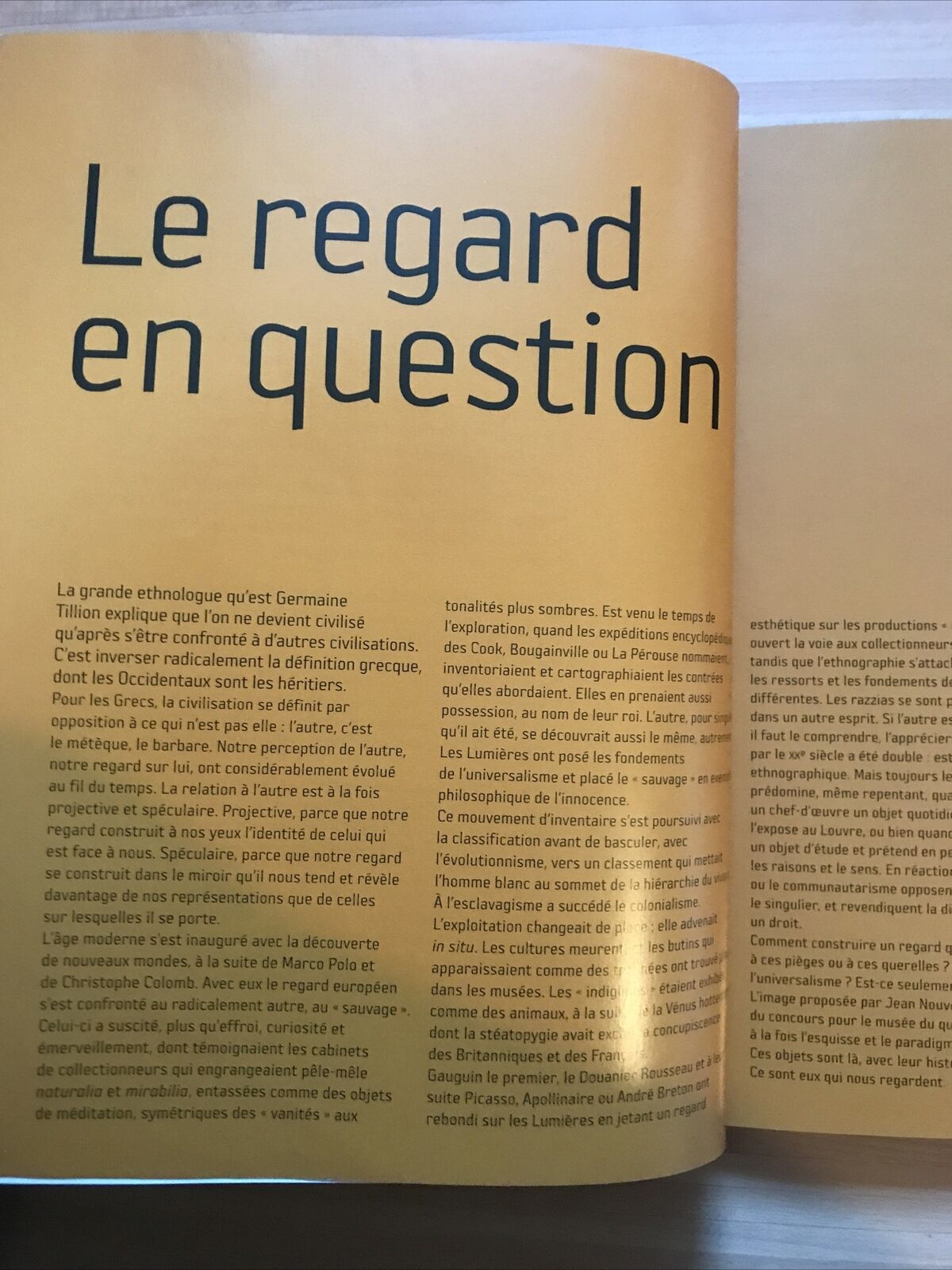 LE MUSEE DU QUAI BRANLY - LAVALOU, ARMELLE ; ROBERT, JEAN-PAU, MONITEUR, 2006 #