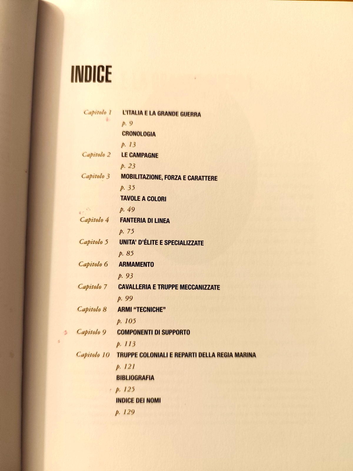 L'esercito Italiano nella prima guerra mondiale David Nicolle. Arte Militare BAM