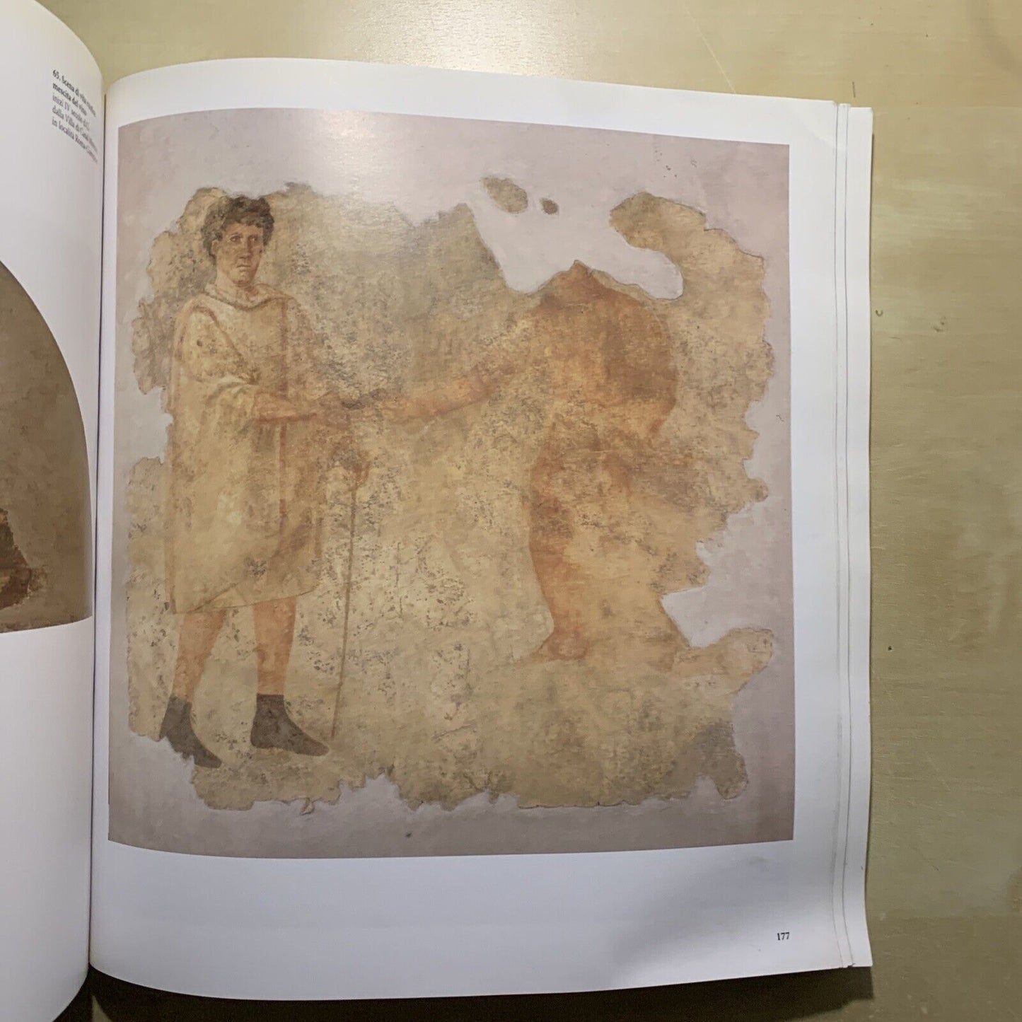 ROMANA PICTURA - ELECTA, ANGELA DONATI 1998 #