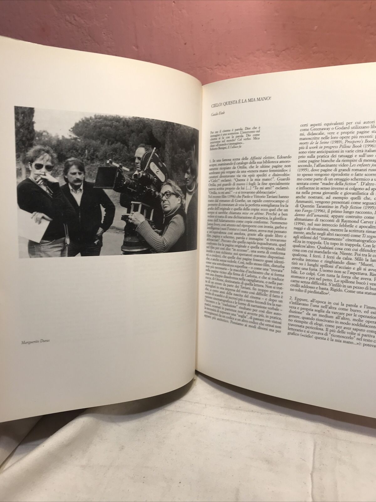 Il cinema e le altre arti, la biennale di Venezia,L. Quaresima,Marsilio editore