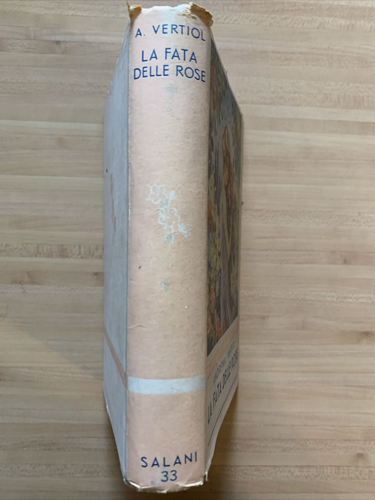 LA FATA DELLE ROSE - ANDREINA VERTIOL - Salani editore 1942 #