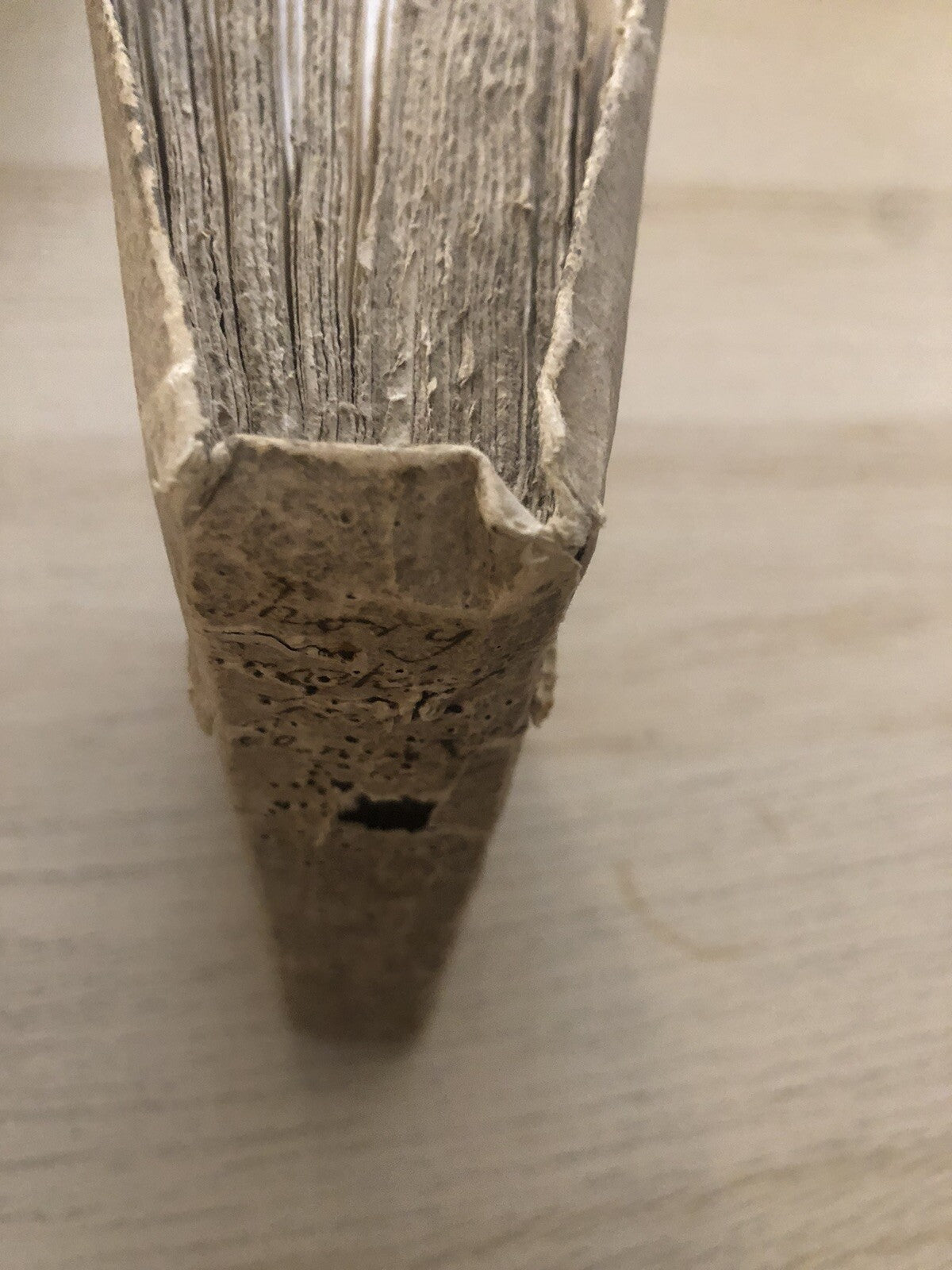 Trattenimenti spirituali adattati a tutti gli ecclesiastici Luigi Mory 1740