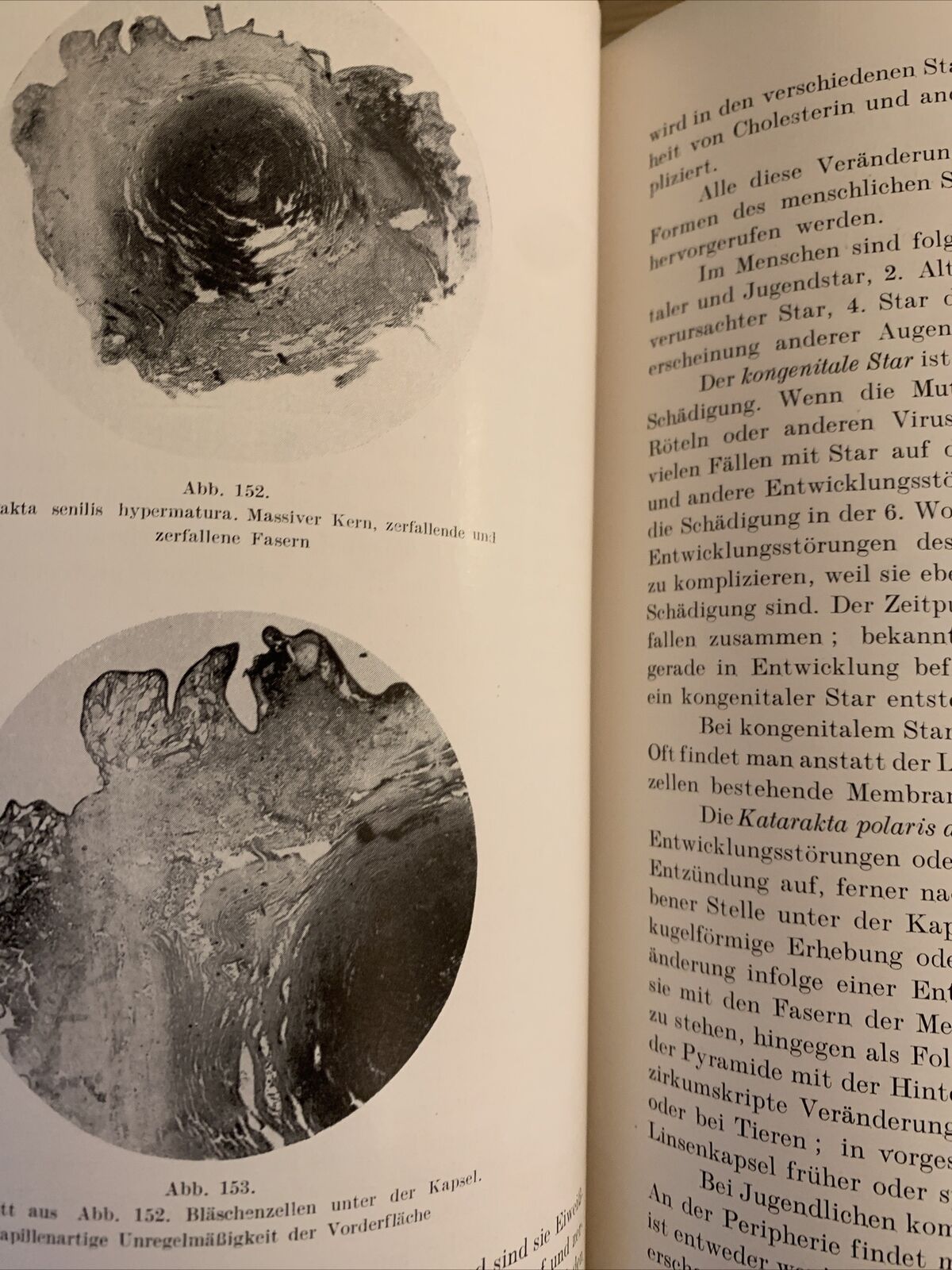 Pathologie des auges - M. Radnót 1958