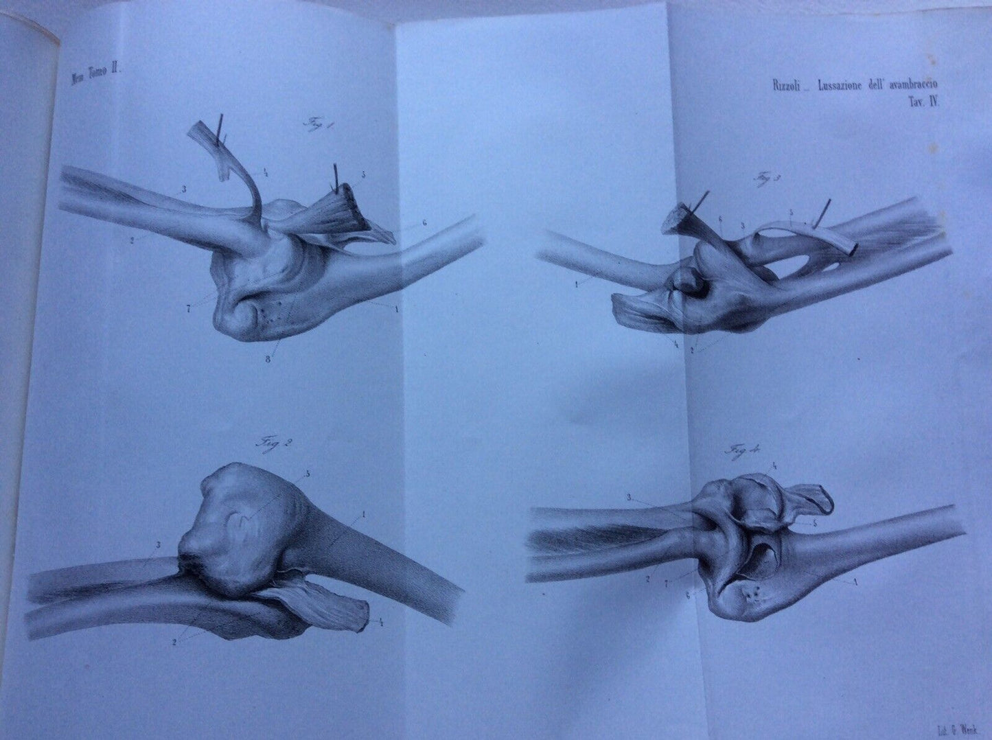 RIZZOLI FRANCESCO BOLOGNA MEMORIE ACCADEMIA DELLE SCIENZE 1847-1879, 29