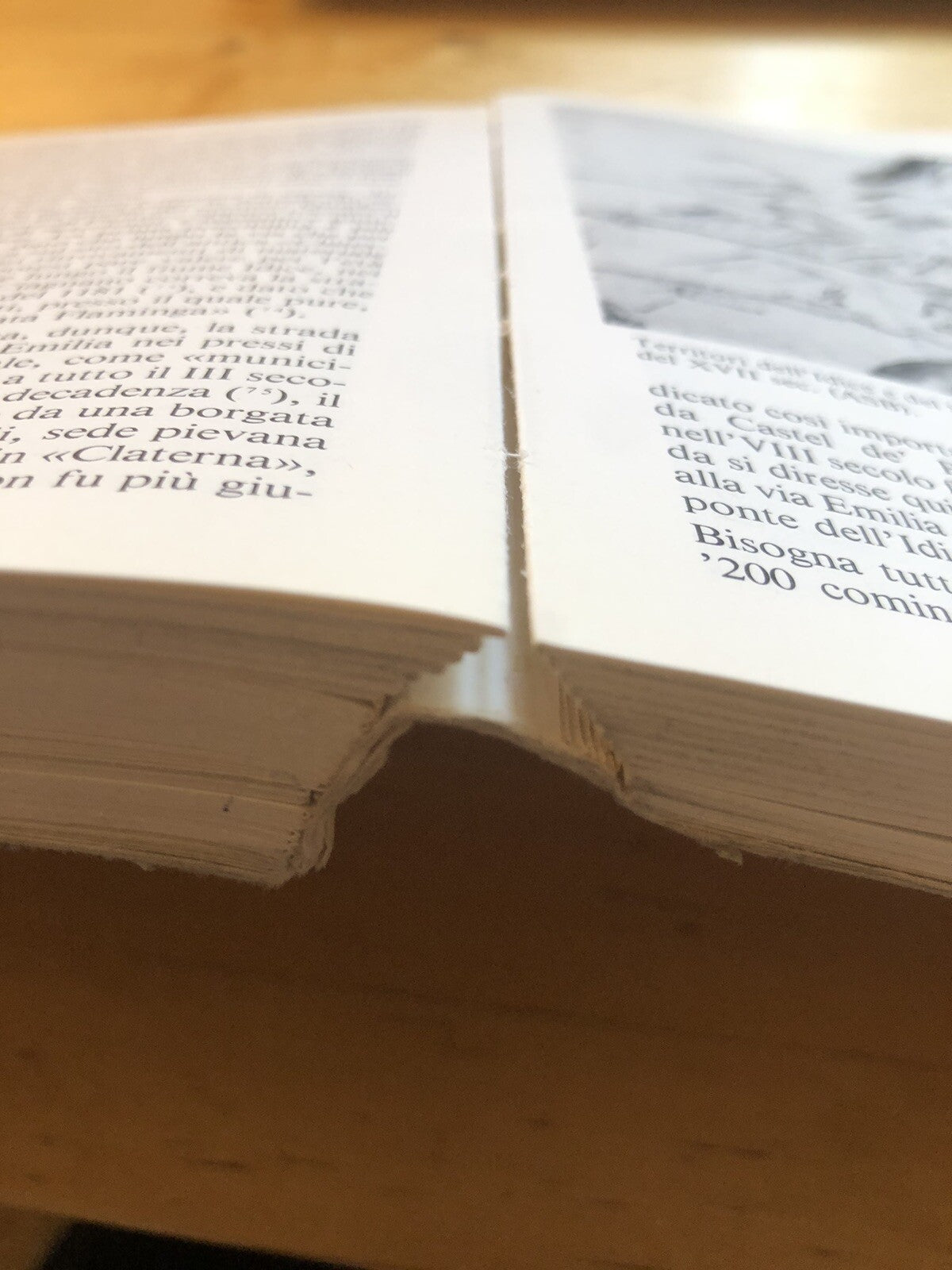 MONTERENZIO e la valle dell'Idice - Archeologia e storia di un territorio