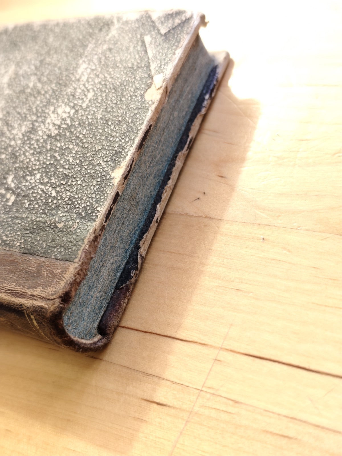 Gesù al cuore della giovane - meditazioni, Camillo Zamboni prete bolognese 1849