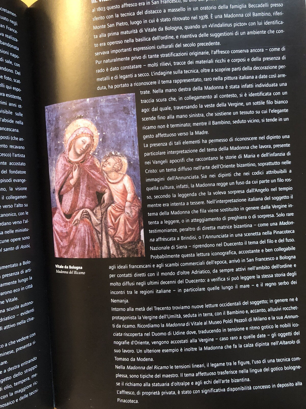 La Pinacoteca Nazionale di Bologna - Rosa D'Amico - Marsilio 2001