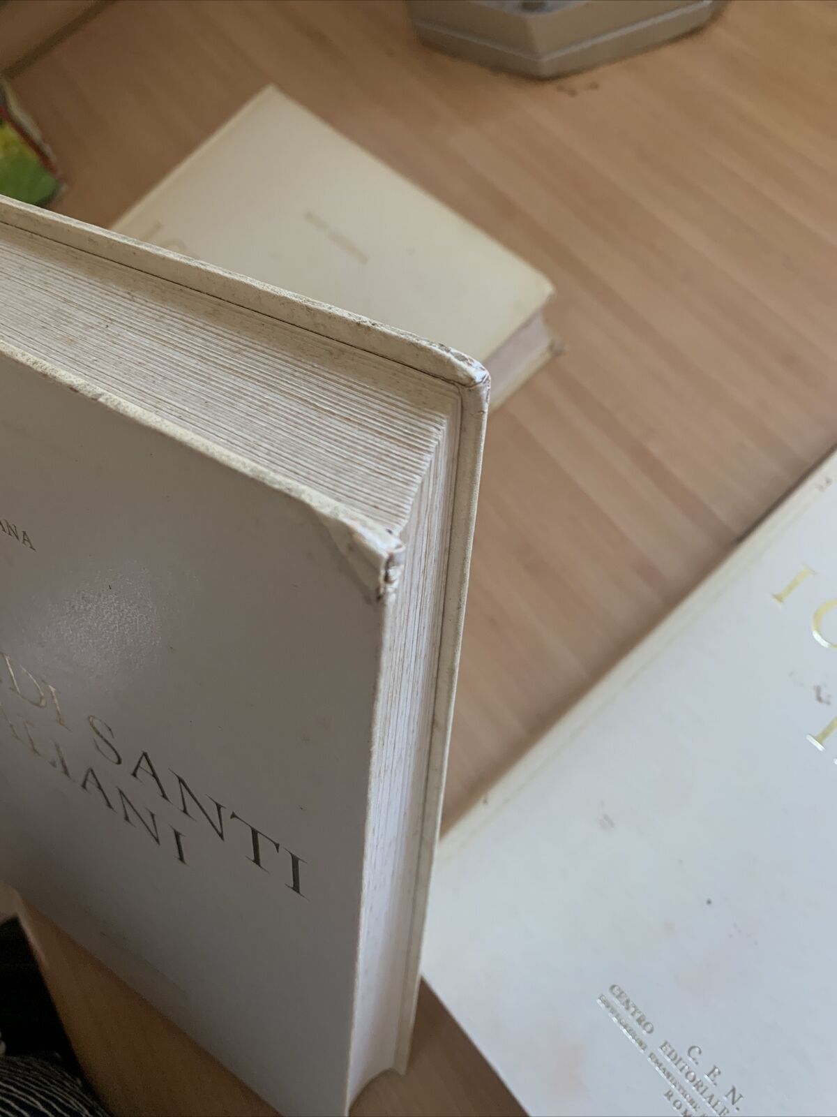 I GRANDI SANTI ITALIANI - MINO CAUDANA #