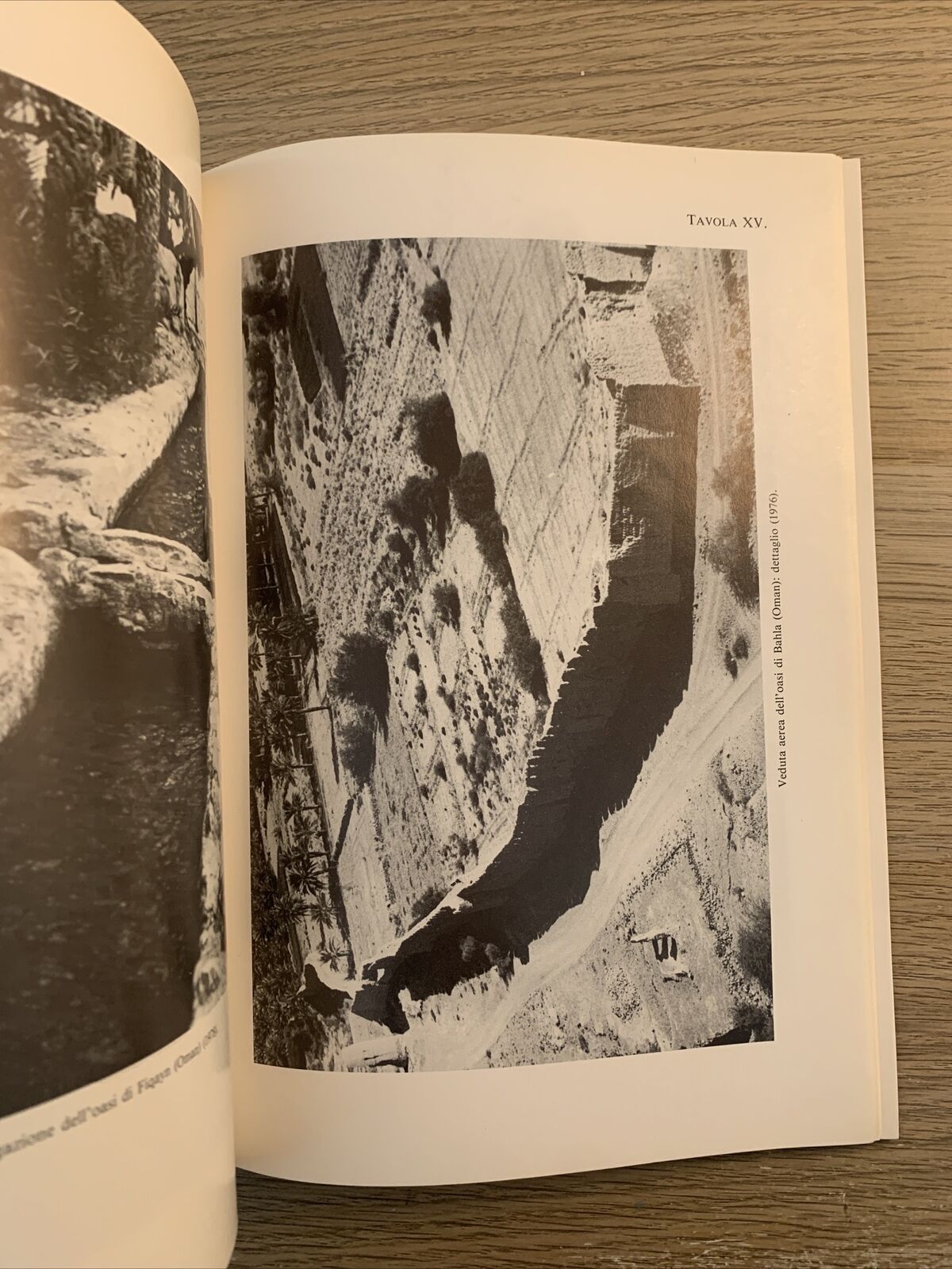 L'UOMO E L'AMBIENTE NELLA PENISOLA ARABA. PAOLO M. COSTA 1991 accademia Lincei