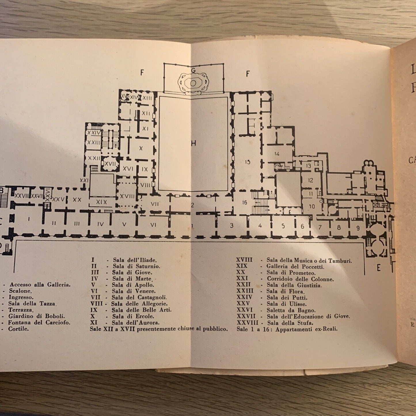 LA GALLERIA PITTI - Francini Ciaranfi - Arnaud edizioni 1956 #