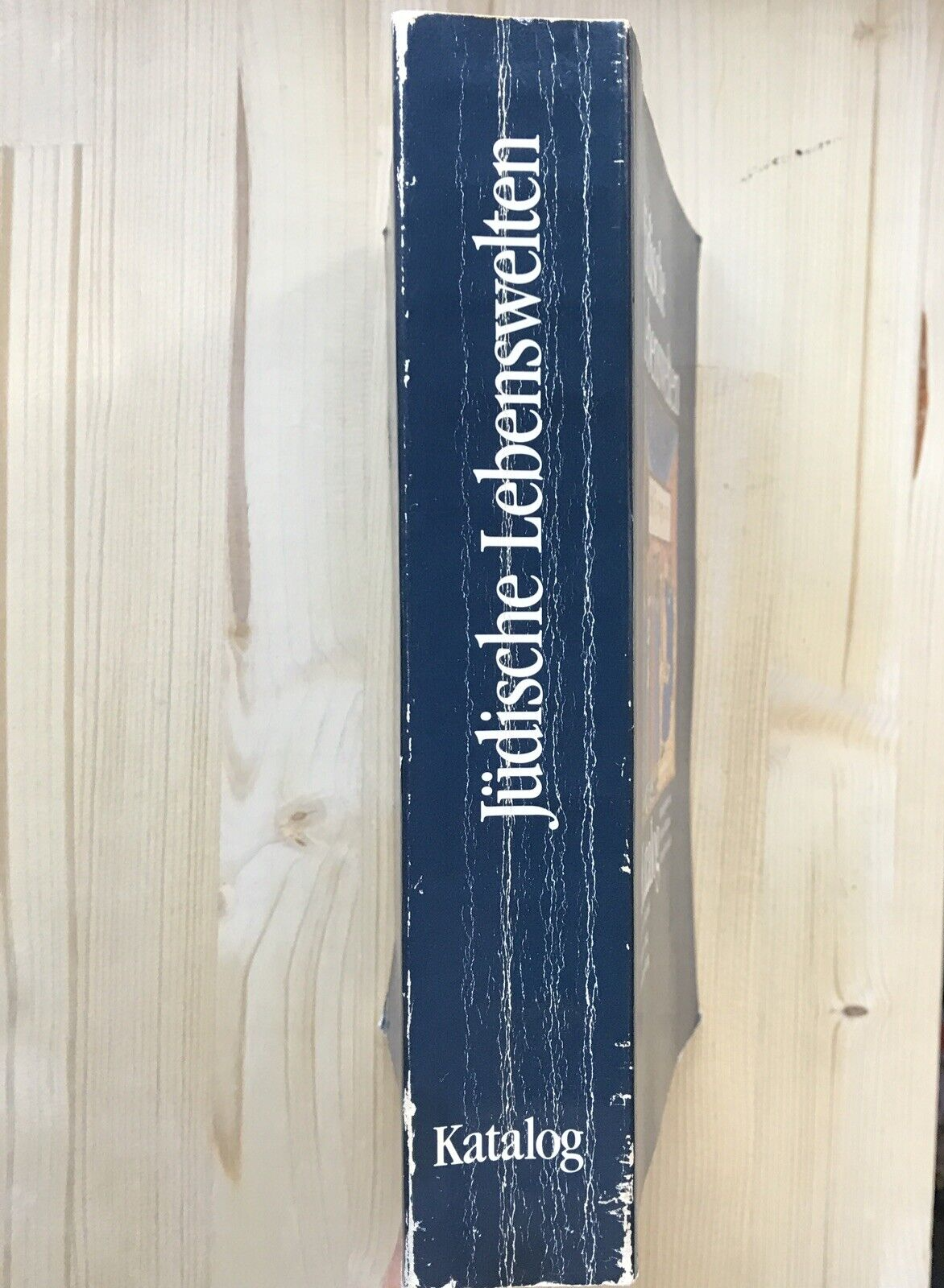 Jüdische Lebenswelten - Katalog, Berliner Festpiele, Andreas Nachama, J. Verlach