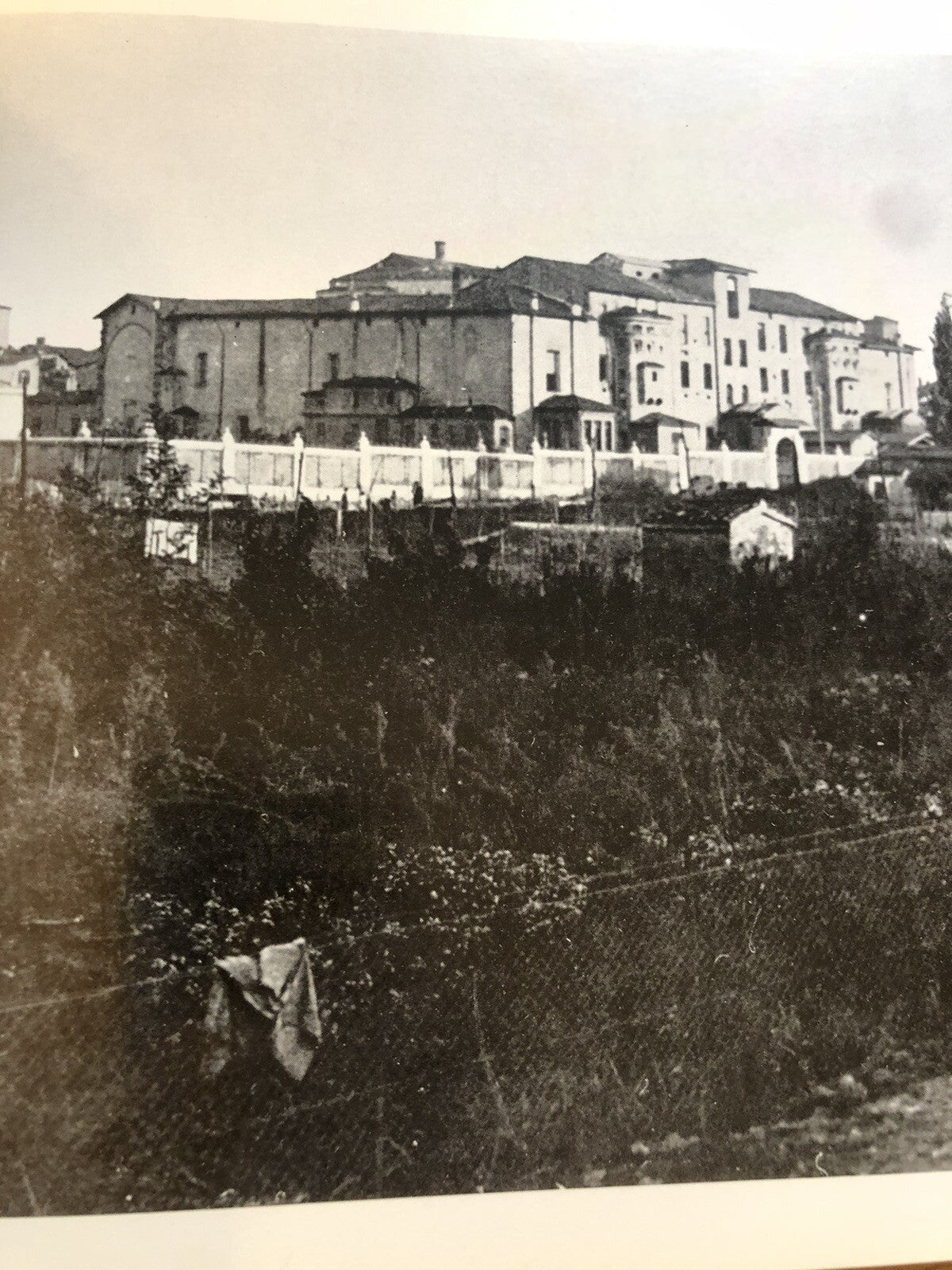 Bologna per la strada fotoconfronti col passato, Menarini - Vianelli 1975