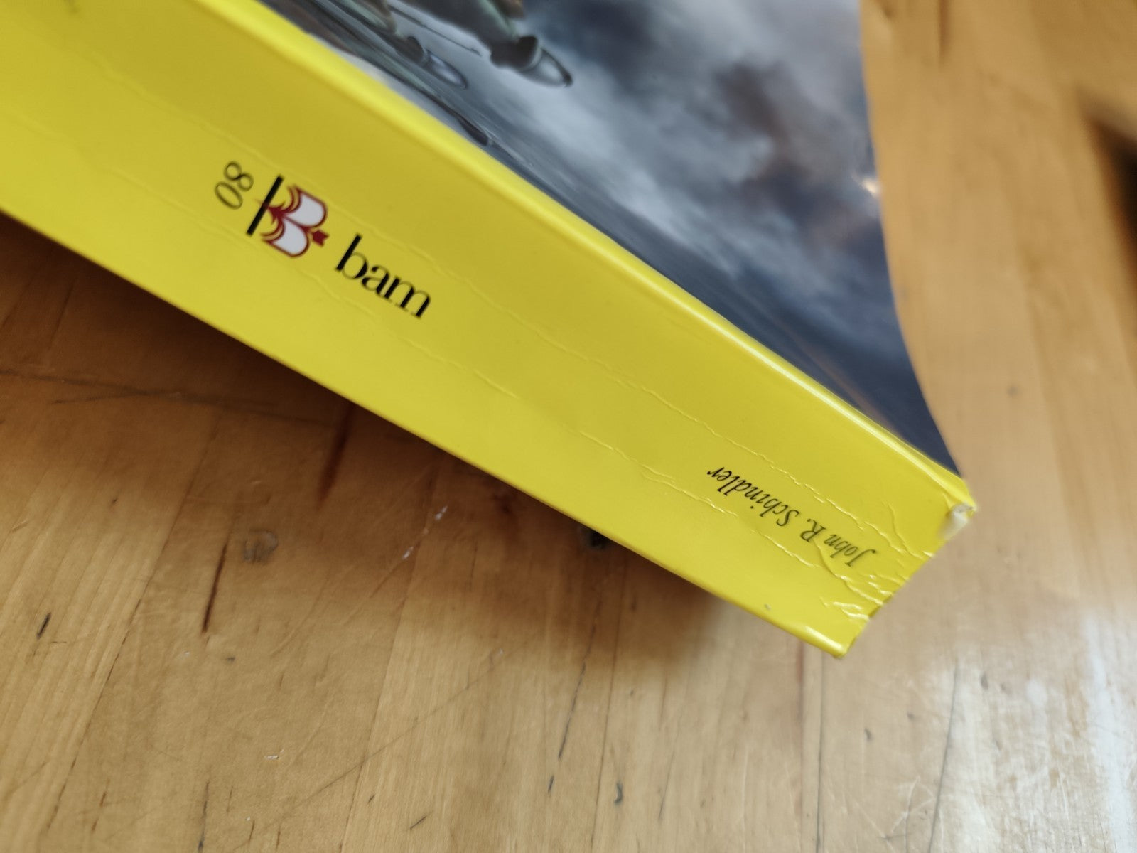 Isonzo, John R. Schindler - il massacro dimenticato della Grande Guerra LEG 2014