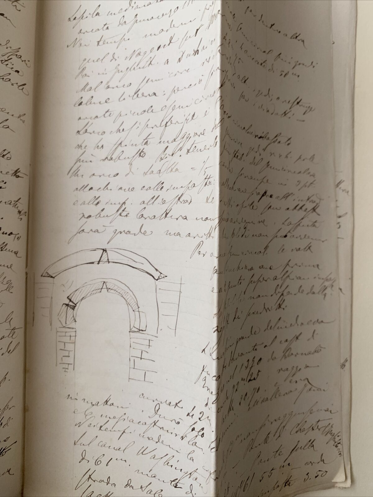 CELESTE CLERICETTI, appunti manoscritti di uno studente UNIVERSITÀ PAVIA 1875 #