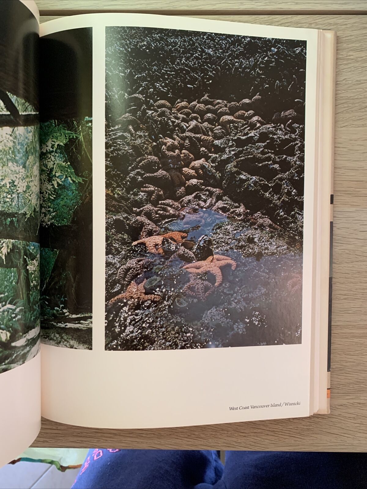 The City of Vancouver Barry Broadfoot, et al. Published by J. J. Douglas, 1976 #