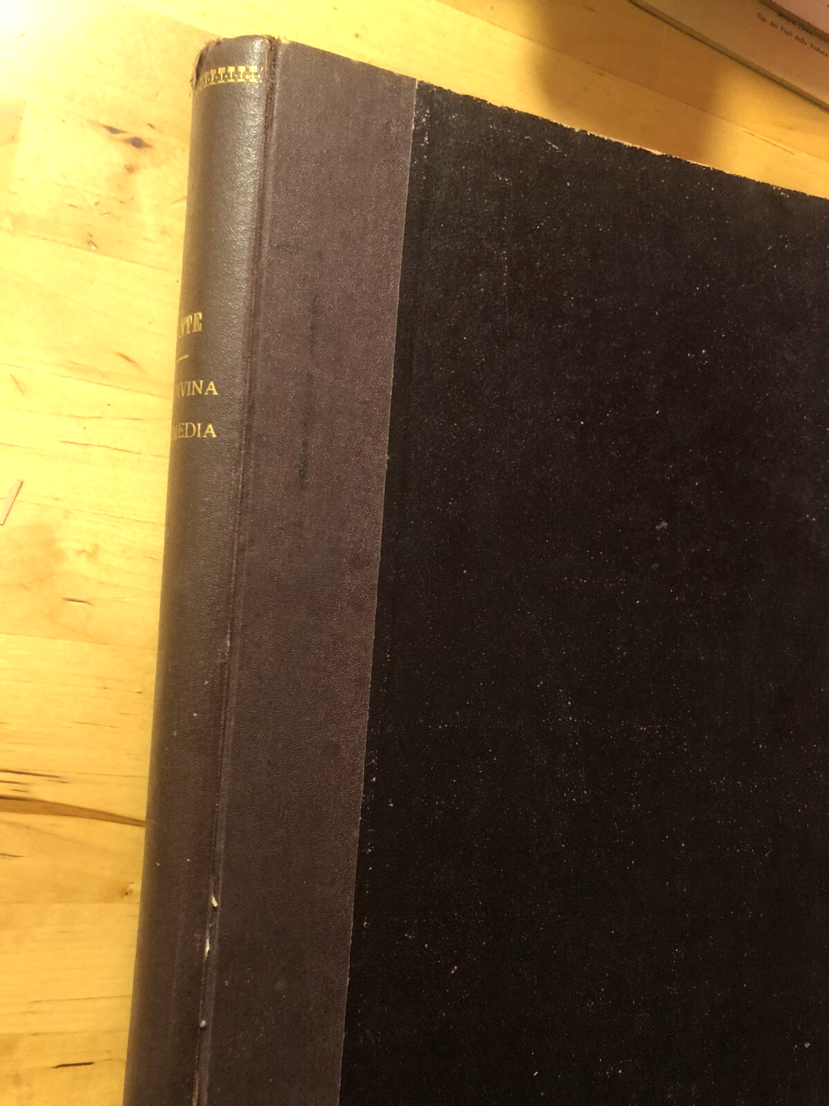 La divina commedia illustrata da Gustavo Doré - Sonzogno, Eugenio Camerini