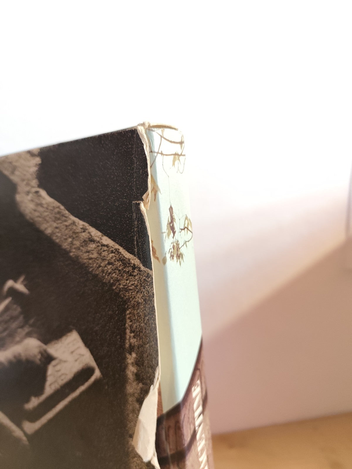 Il Romanico e le valli Piacentine, Carlo Bavagnoli 1978