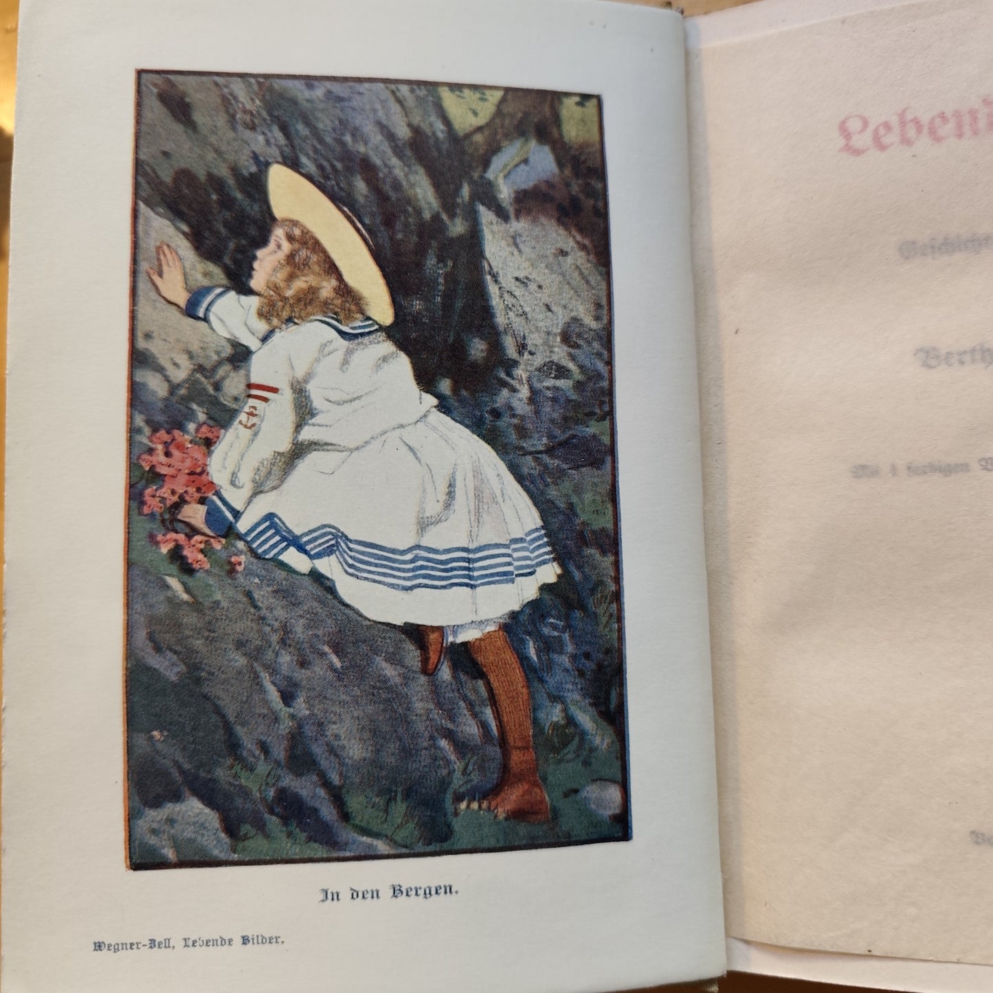 Lebende Bilder - Geschichten für die Jugend. Mit 4 farbigen Vollbildern und ande