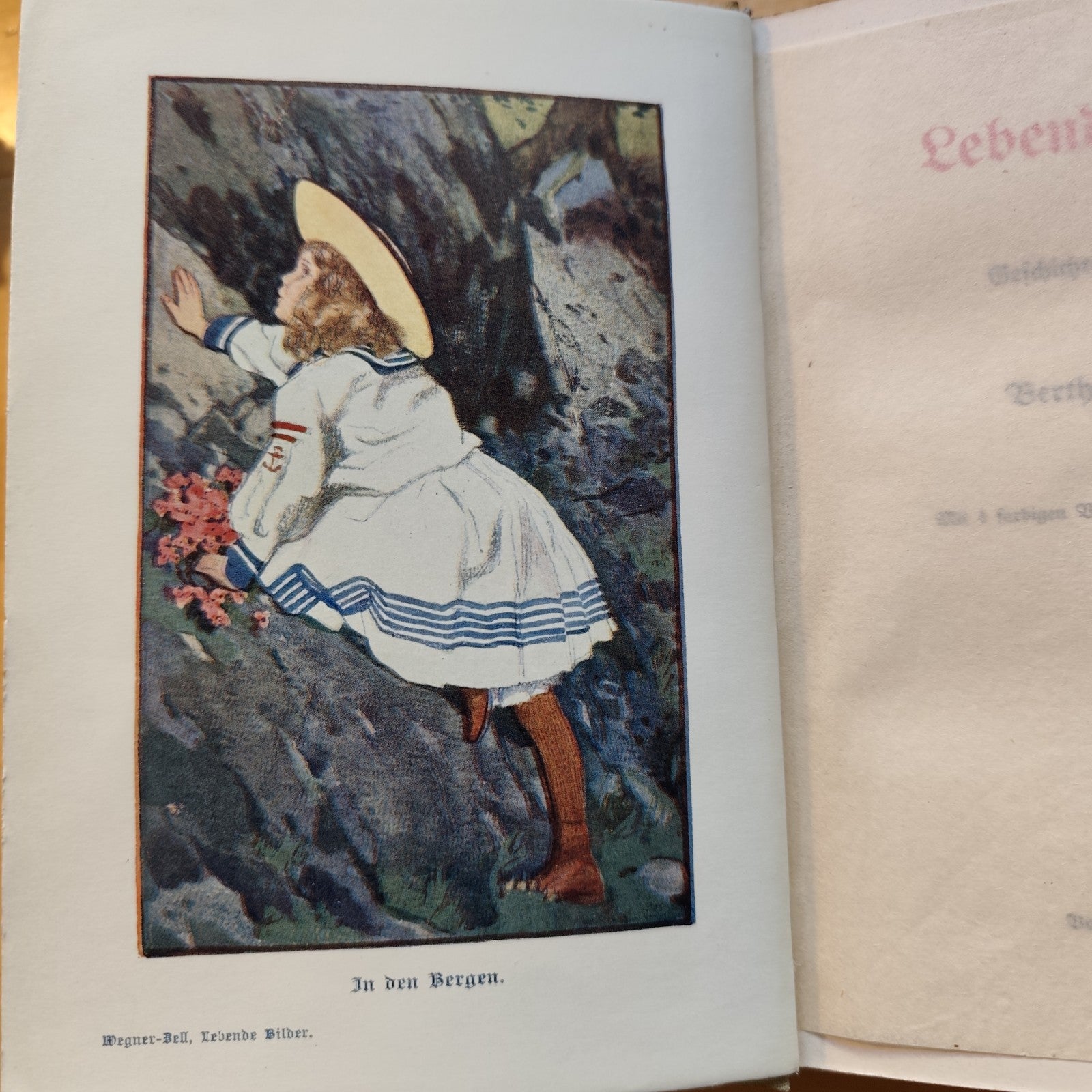 Lebende Bilder - Geschichten für die Jugend. Mit 4 farbigen Vollbildern und ande