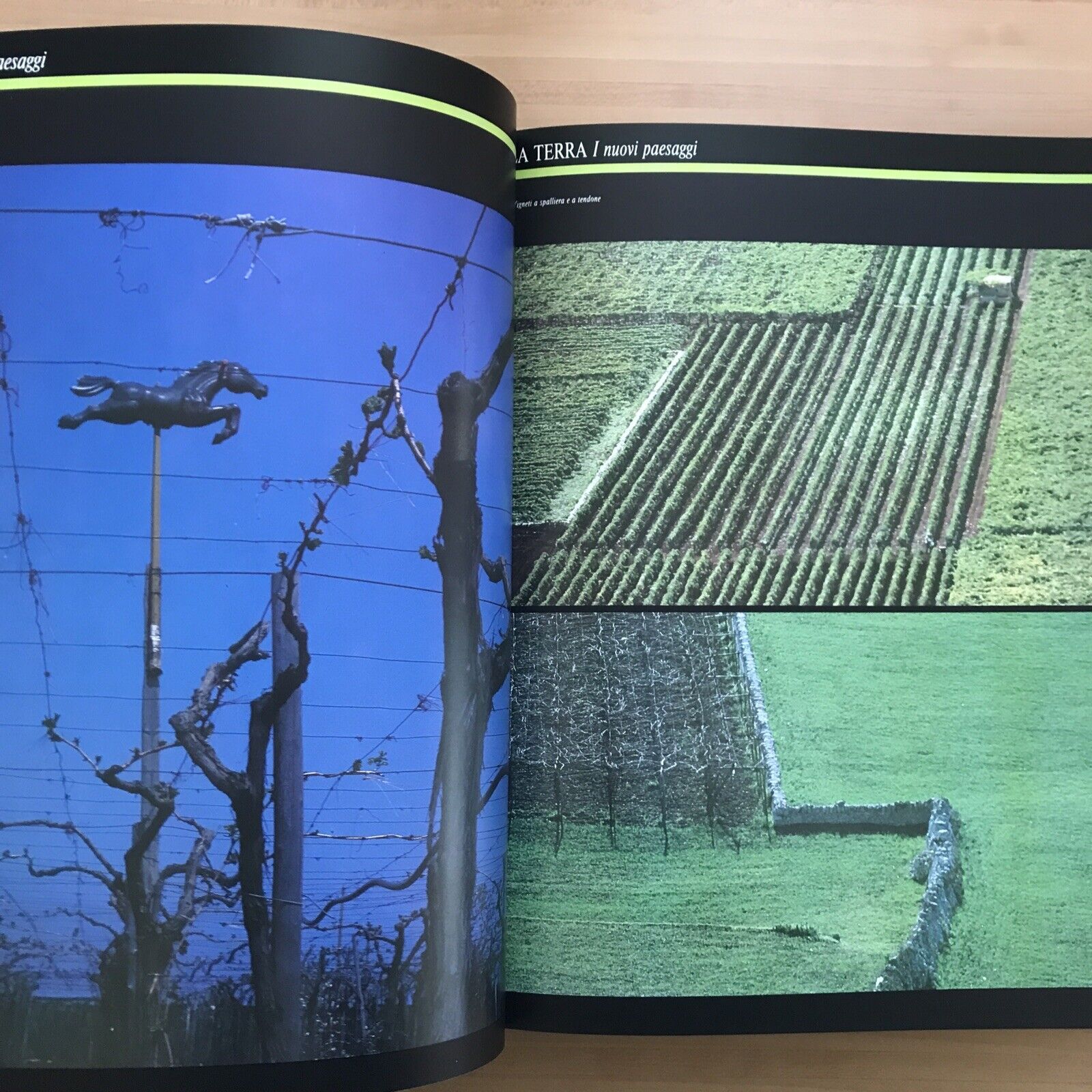 BARI - VIAGGIO IN PROVINCIA  Biblos edizioni - 1991