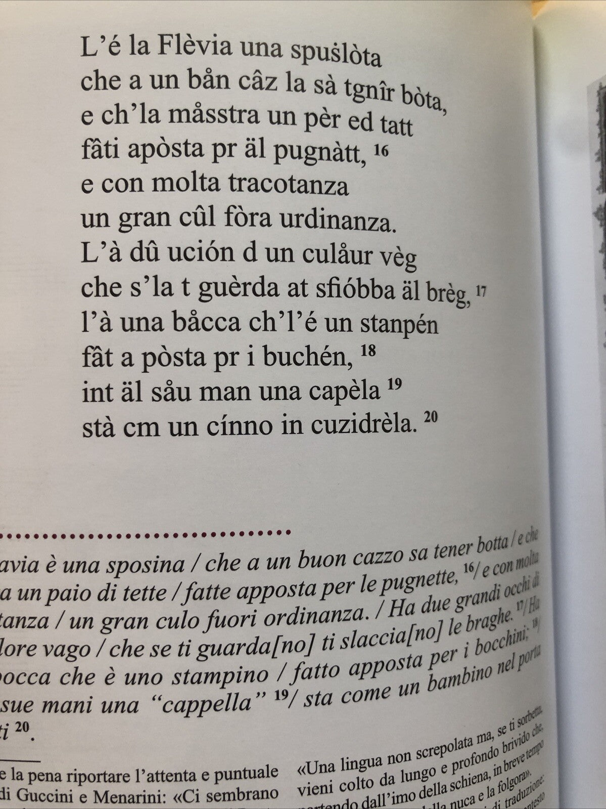 Al fataz di Zarden Margaretta (La Flevia) Anonimi Petroniani. Perdisa ed. Con CD