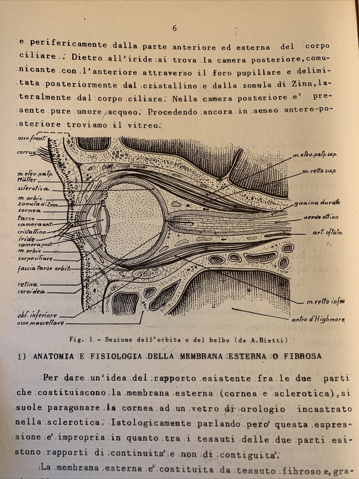 APPUNTI DI CLINICA OCULISTICA. PROF. D'ERMO, SPERANDIO. EDITRICE UNIVERSO 1957